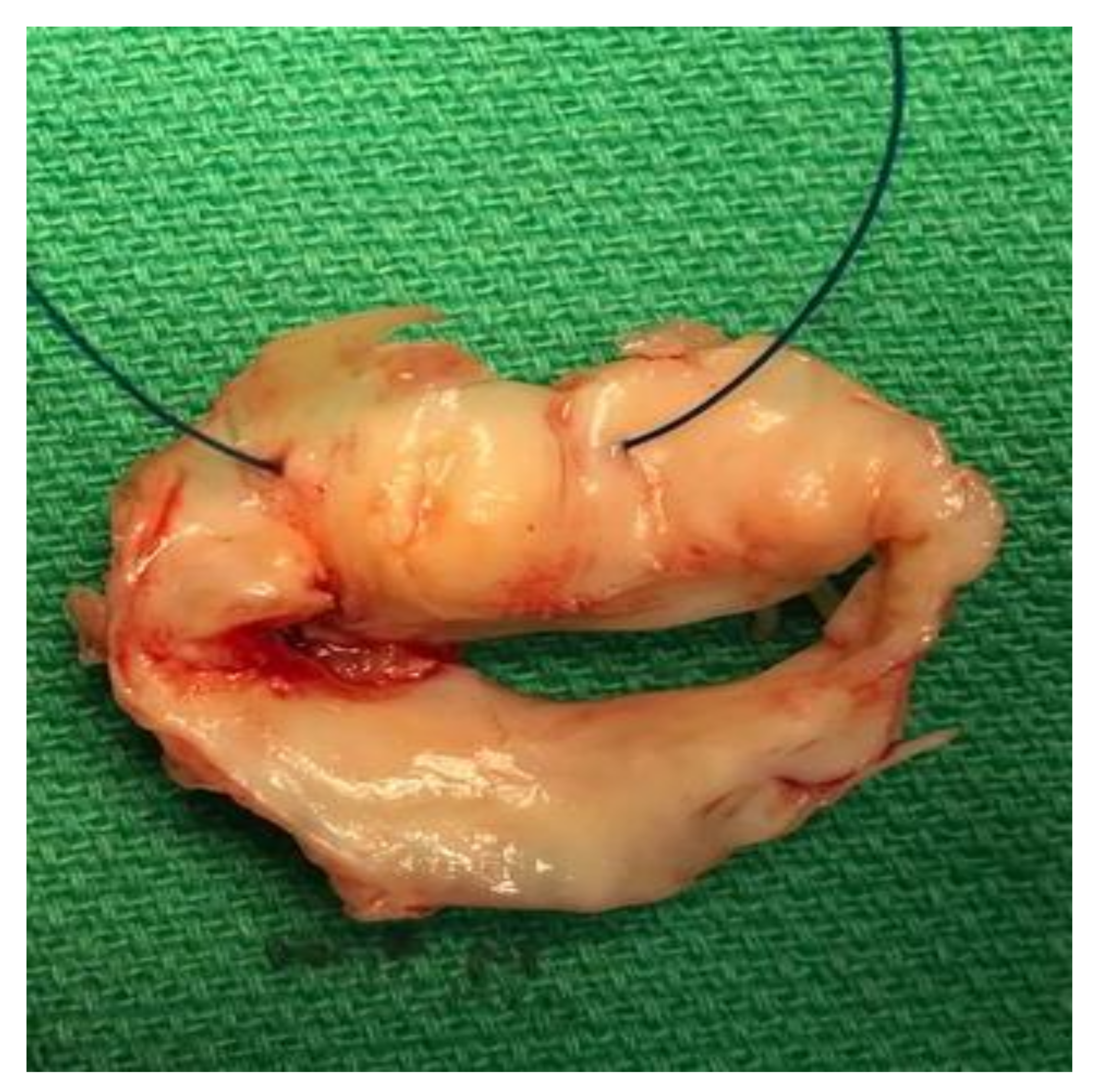 Idr 12 00020 g002 Idr 12 00020 g002