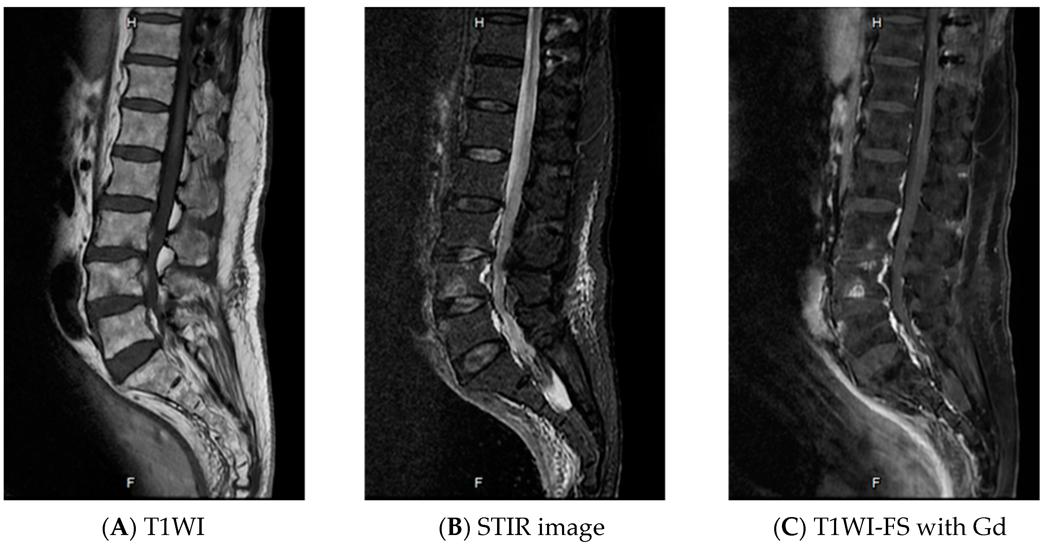 Idr 13 00010 g002 Idr 13 00010 g002