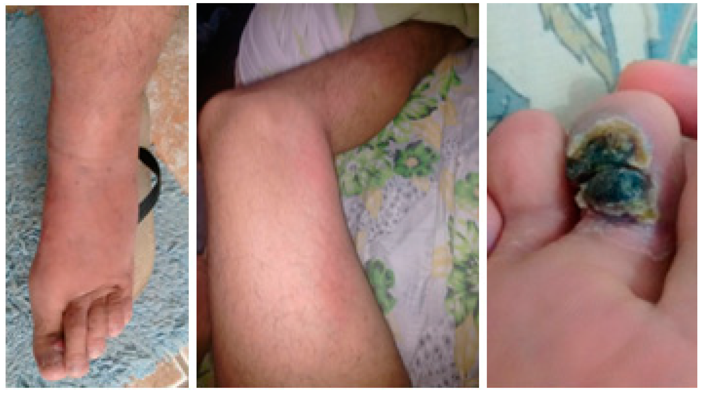 Idr 13 00017 g001 Idr 13 00017 g001