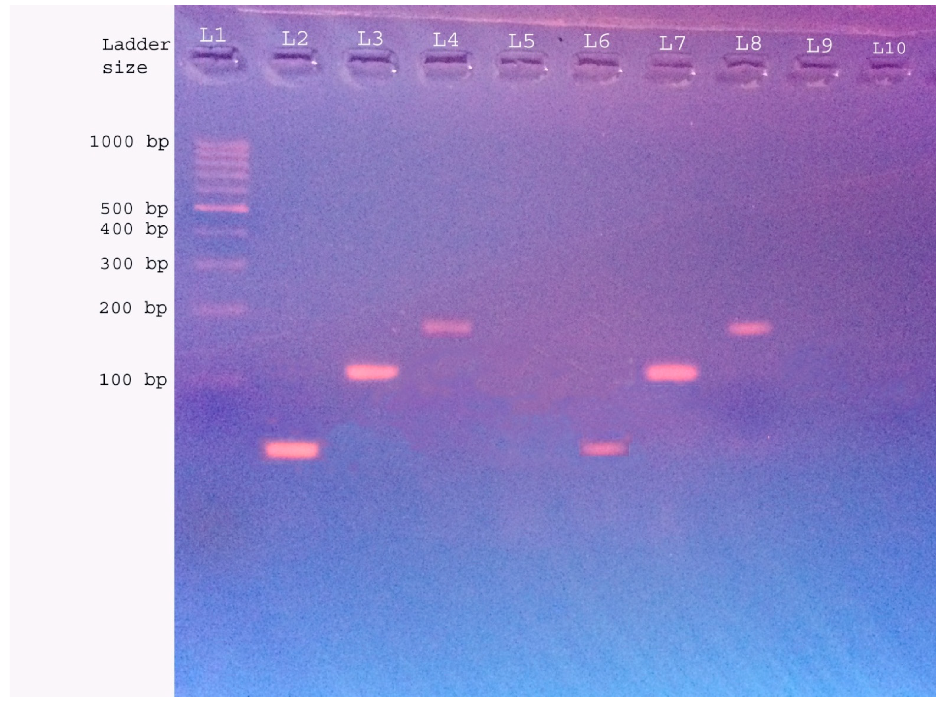 Idr 13 00019 g001 Idr 13 00019 g001