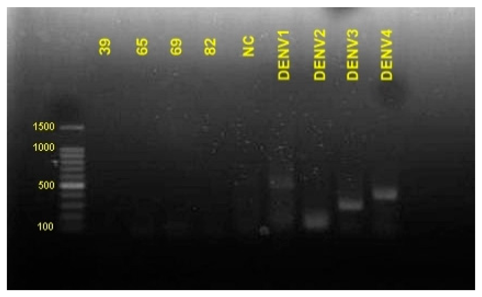 Idr 13 00050 g003 Idr 13 00050 g003