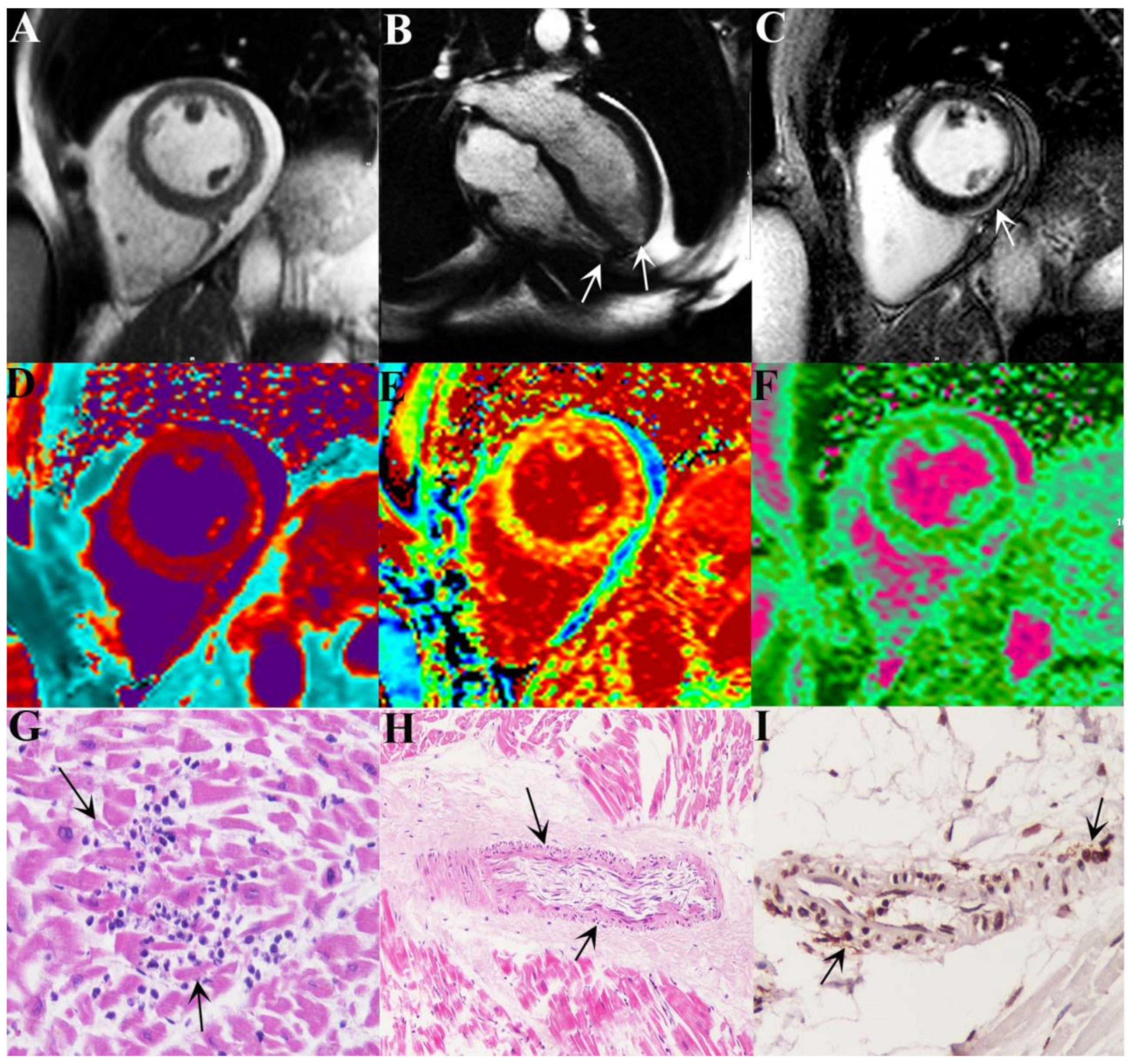 Idr 13 00055 g001 550