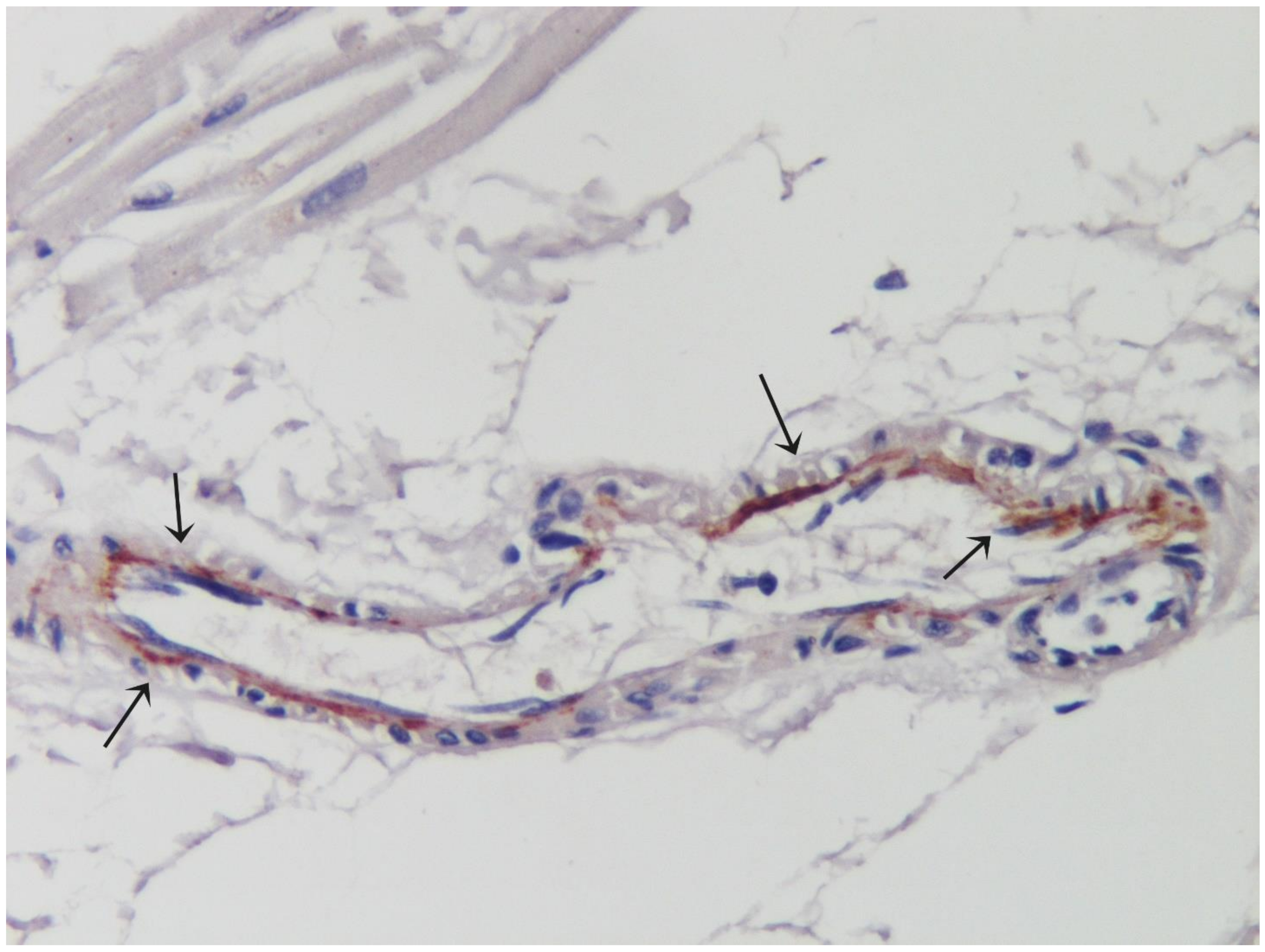 Idr 13 00055 g002 550