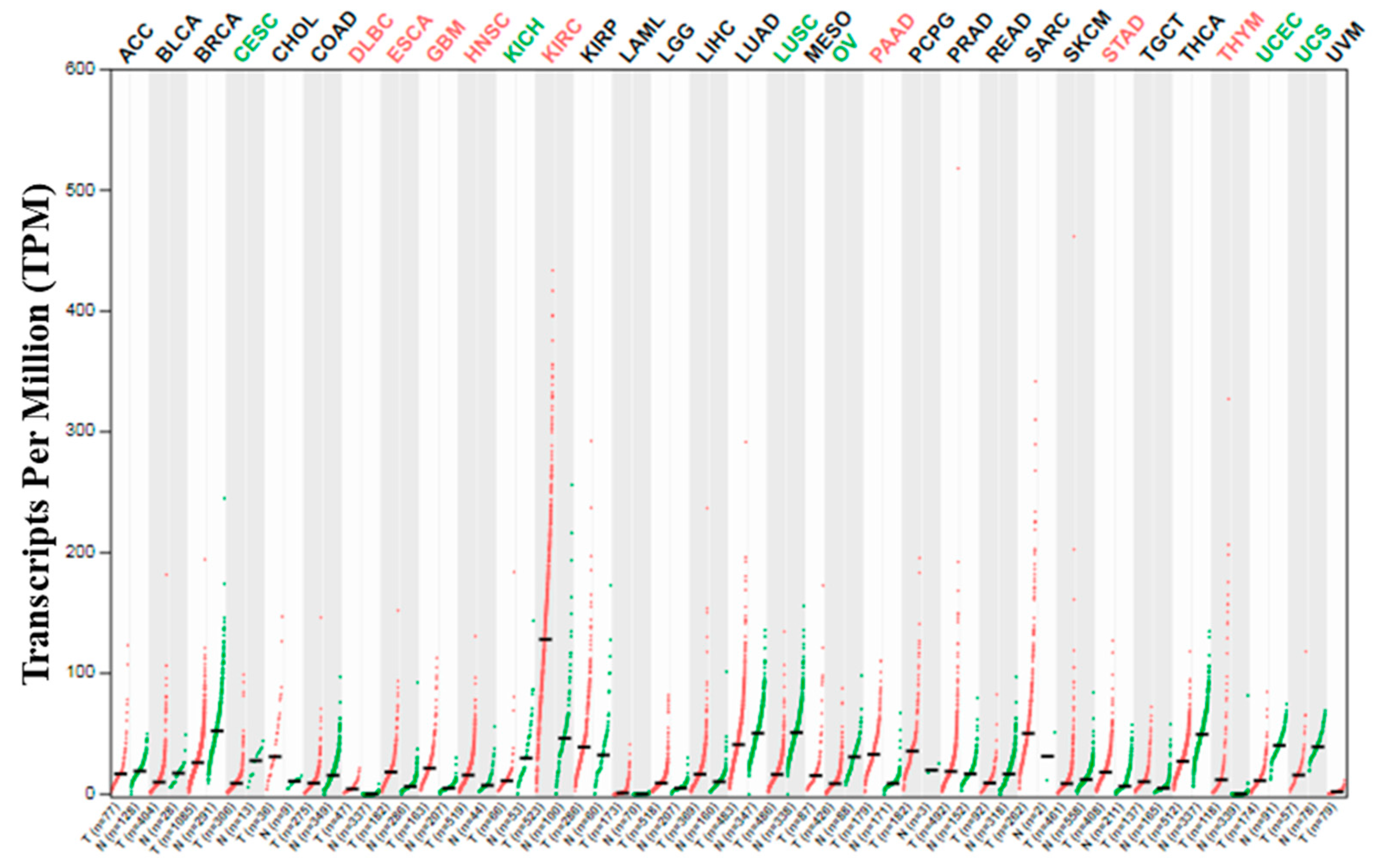 Idr 13 00081 g001 550