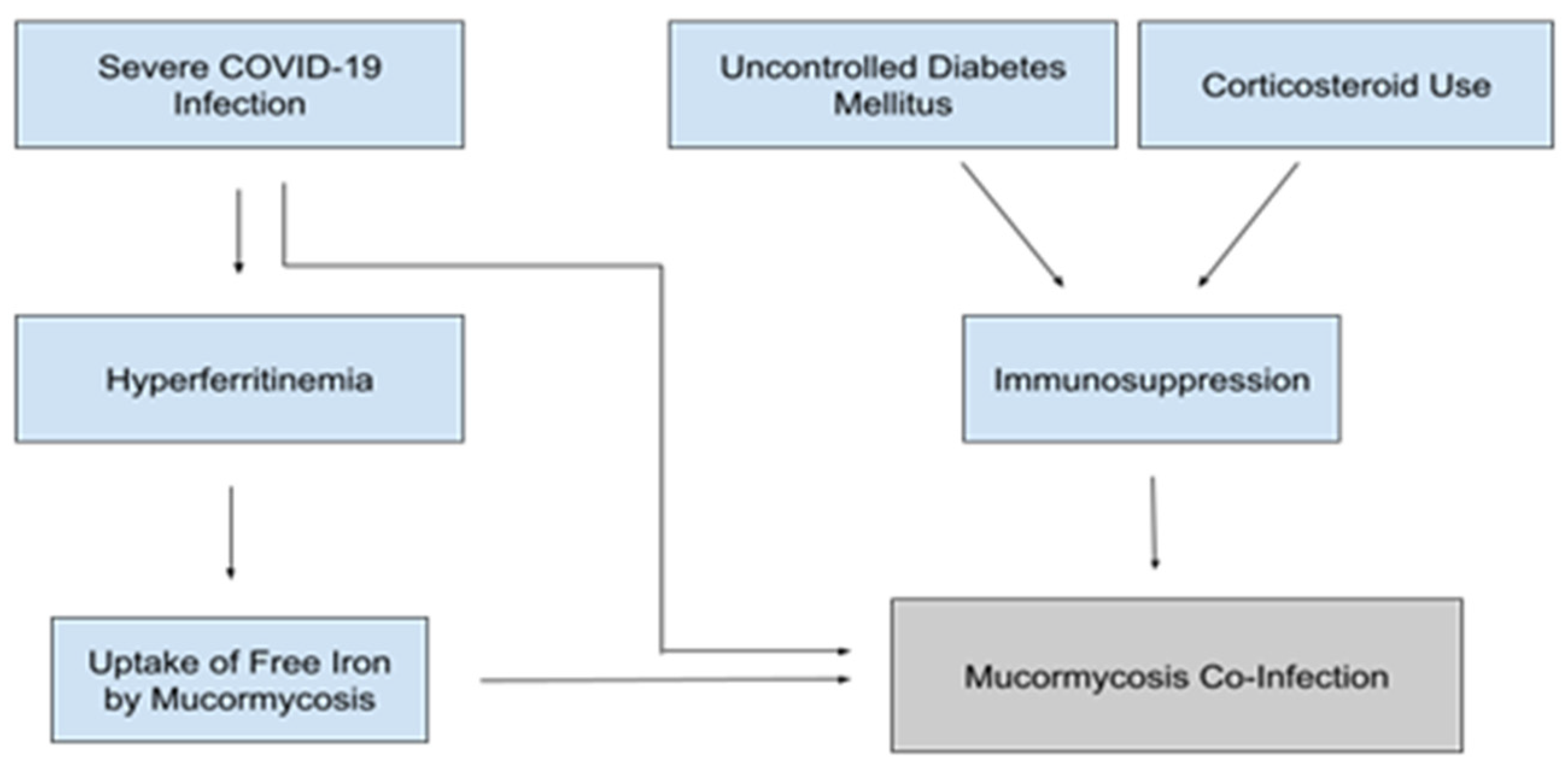Idr 13 00093 g004 Idr 13 00093 g004