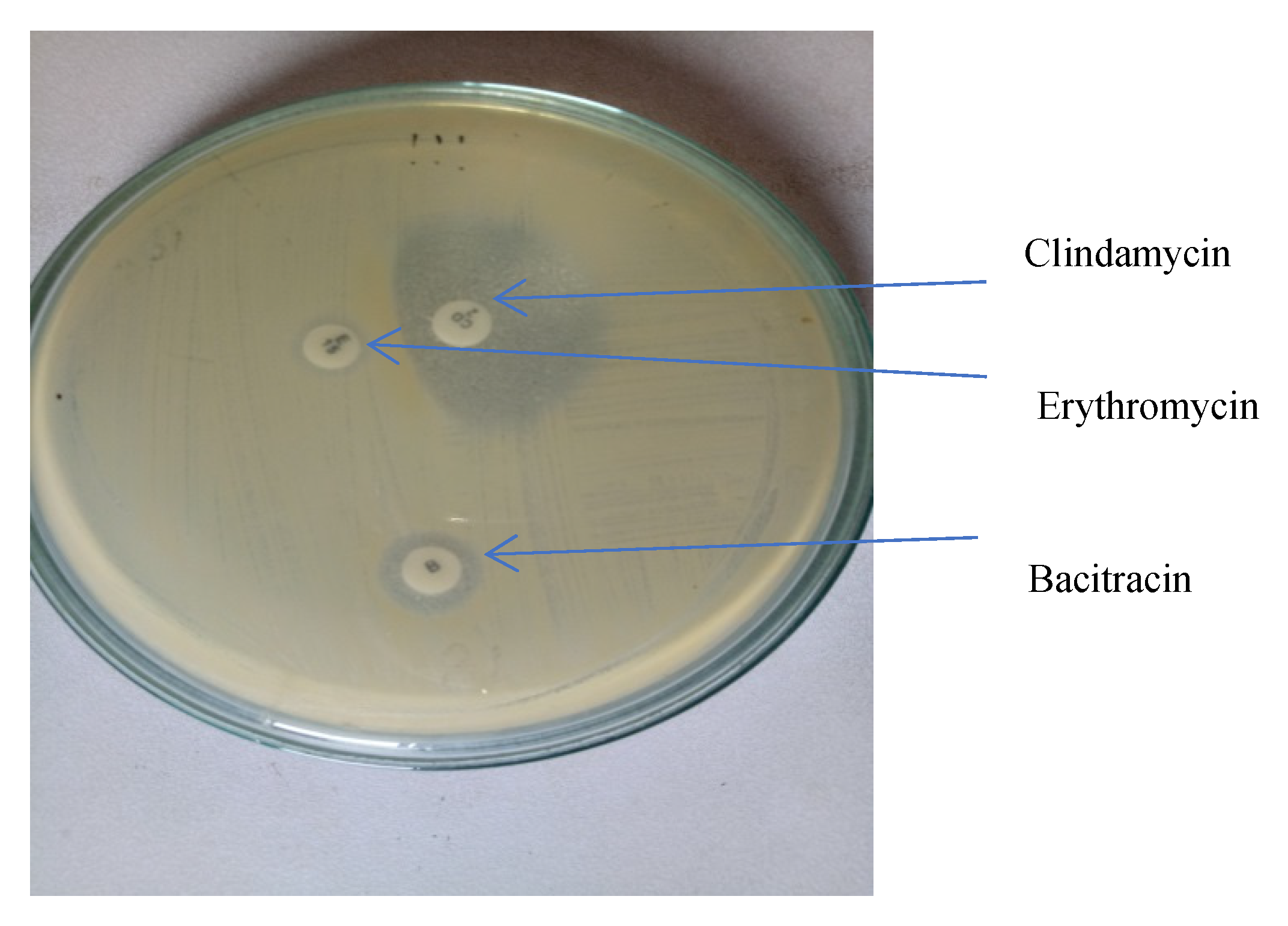 Idr 13 00095 g001 Idr 13 00095 g001