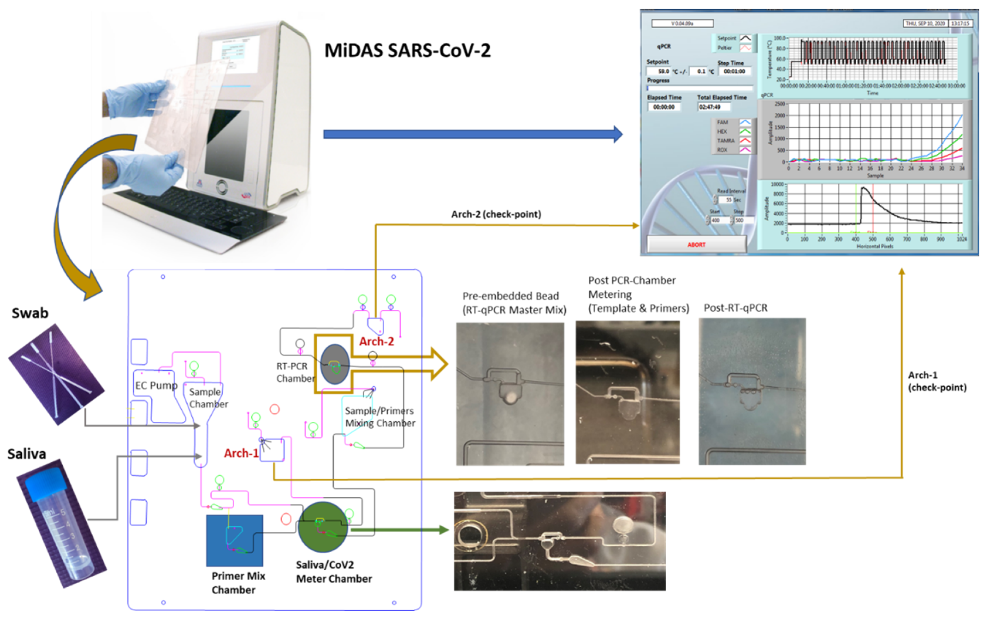 Idr 13 00097 g002 550