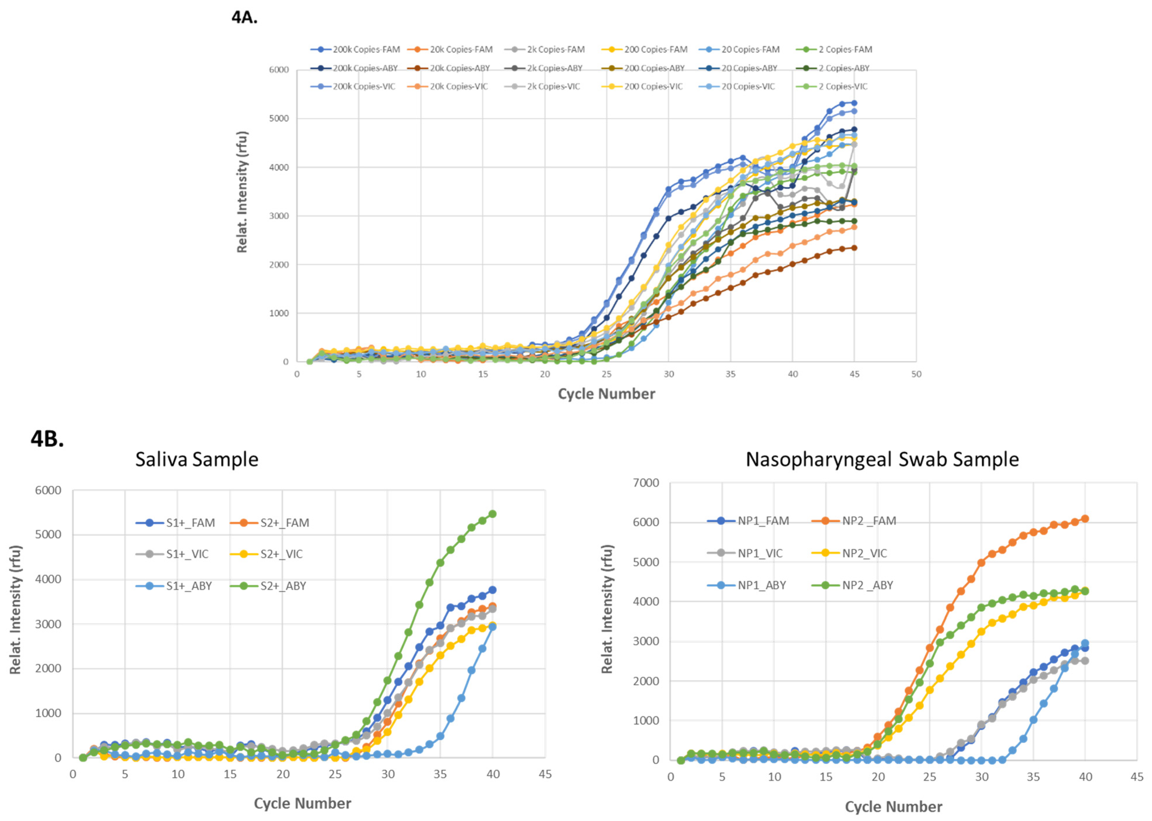 Idr 13 00097 g004 550