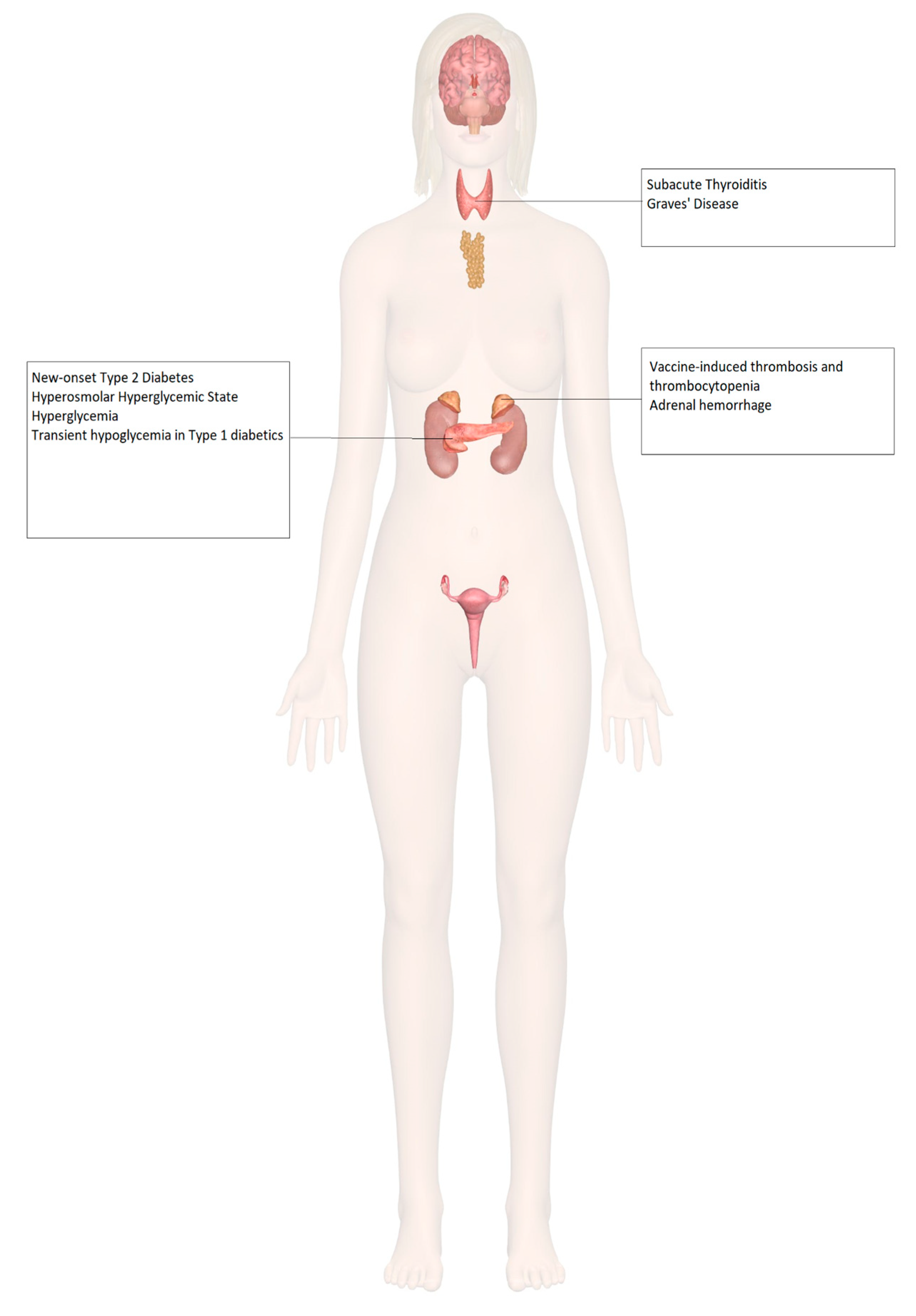 Idr 14 00023 g002 Idr 14 00023 g002