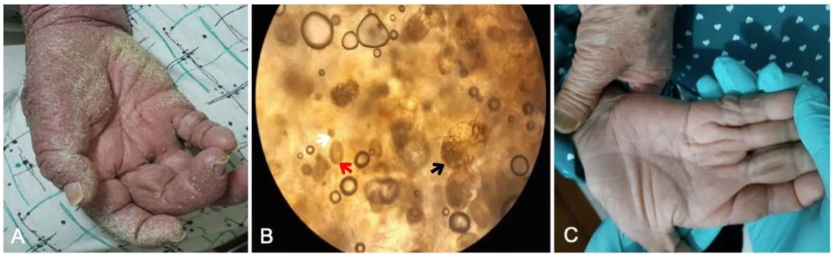 Idr 14 00051 g004 550