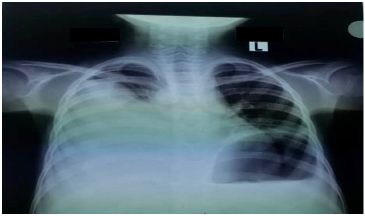 Idr 14 00062 g001 550