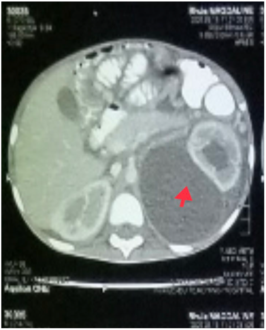 Idr 14 00062 g003 550