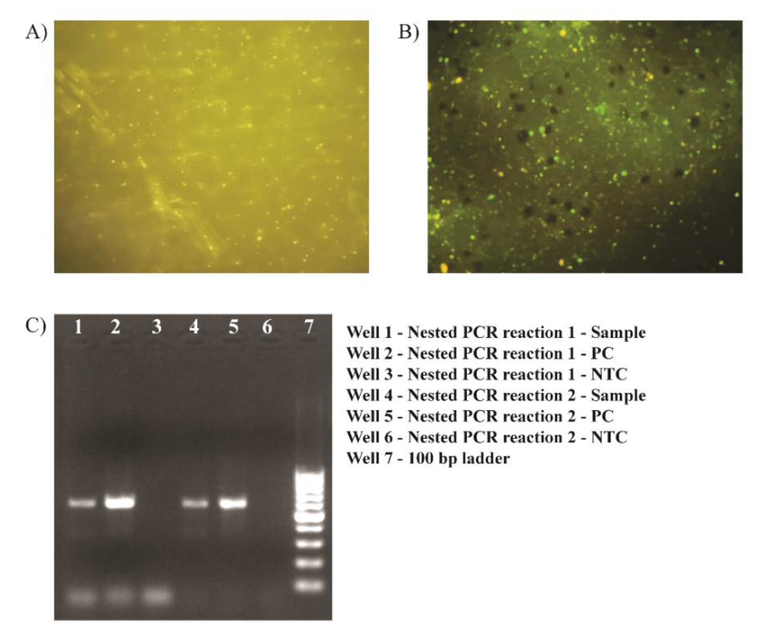 Idr 14 00102 g001 Idr 14 00102 g001