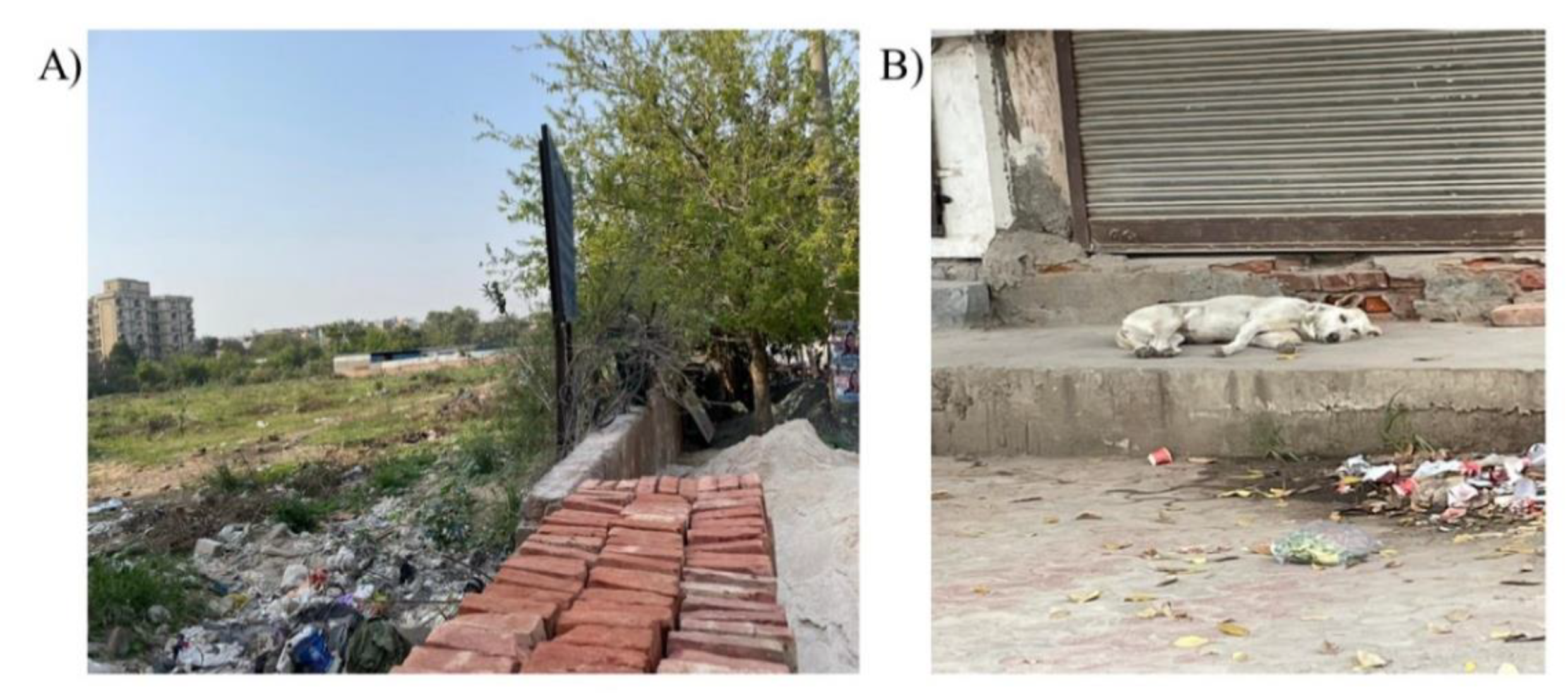 Idr 14 00102 g002 Idr 14 00102 g002