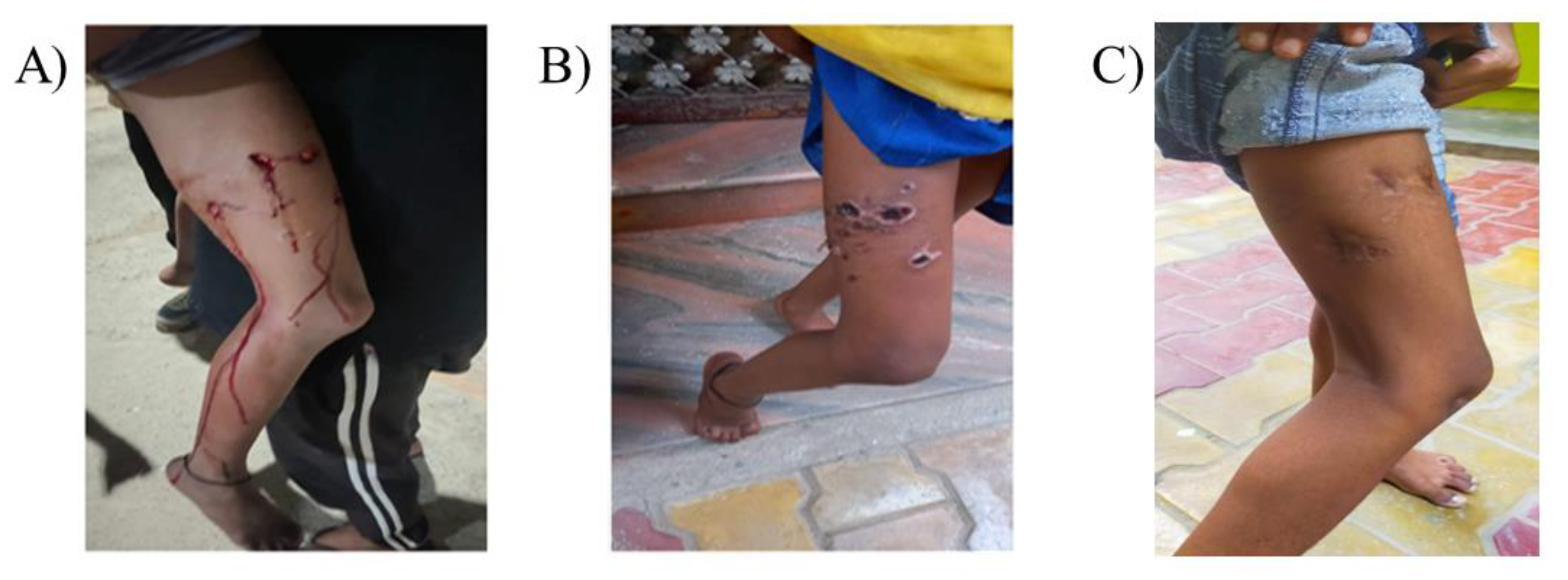 Idr 14 00102 g003 Idr 14 00102 g003