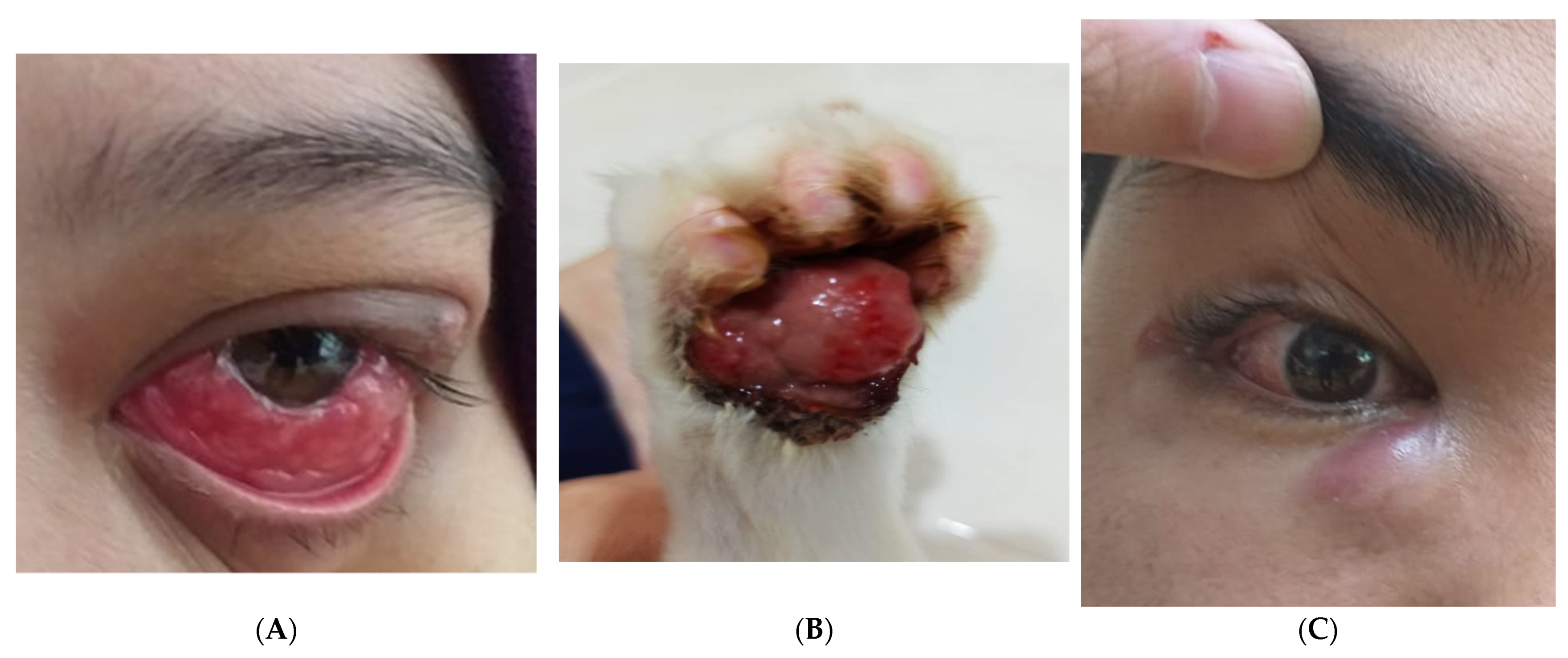 Idr 15 00011 g001 550