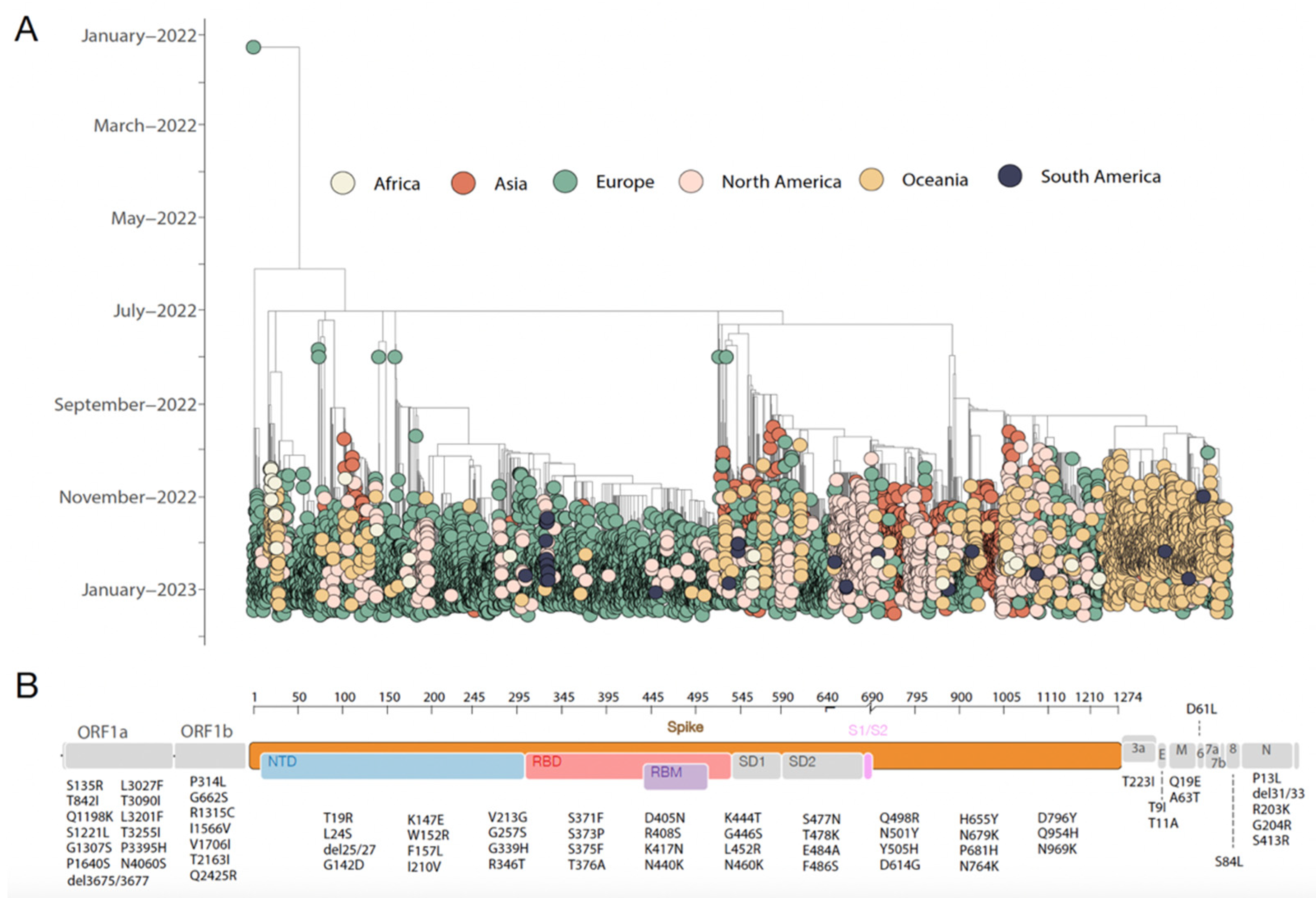 Idr 15 00029 g001 Idr 15 00029 g001