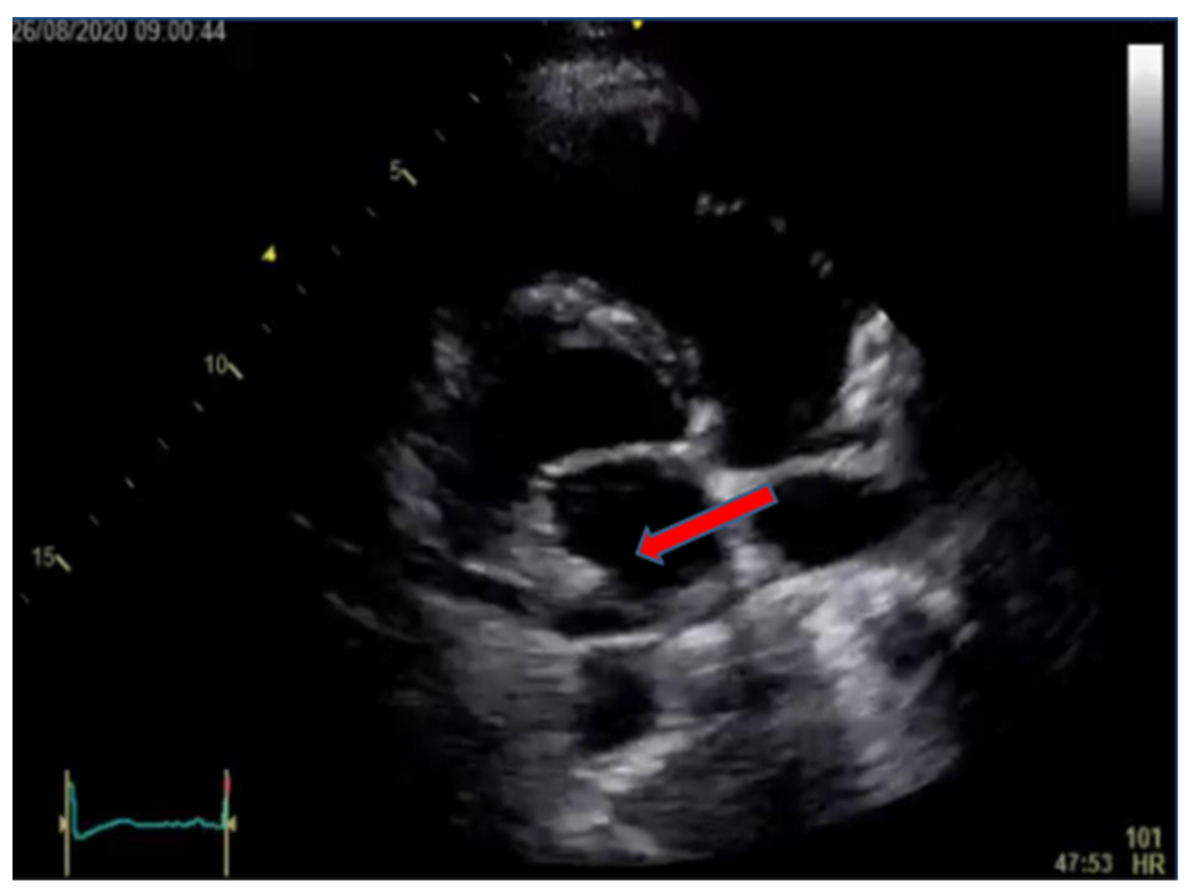 Idr 15 00033 g001 Idr 15 00033 g001