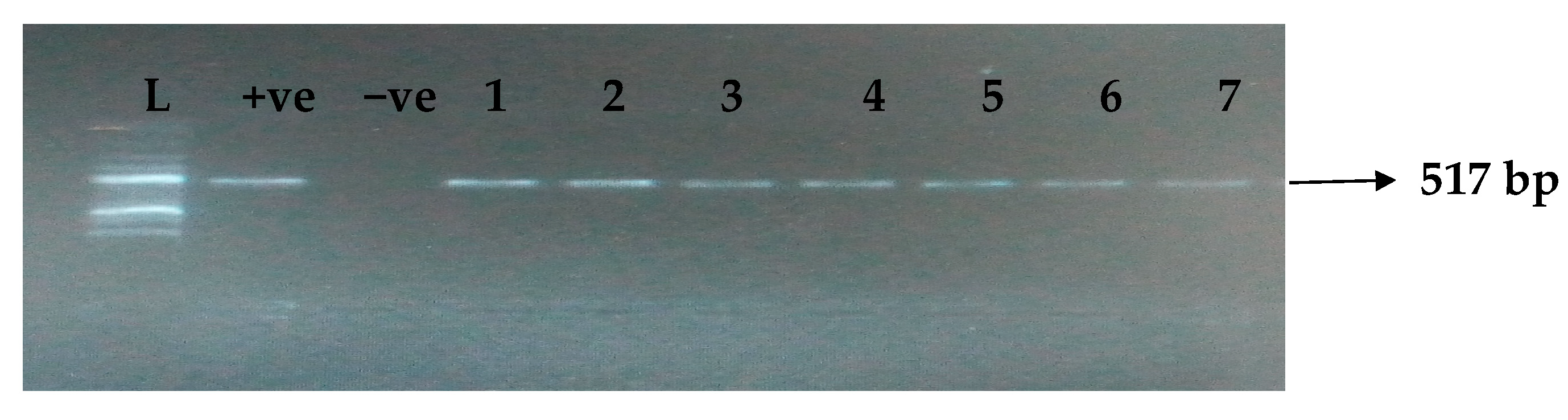 Idr 15 00034 g001 Idr 15 00034 g001