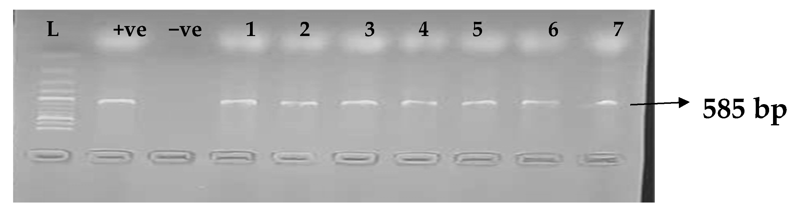 Idr 15 00034 g004 Idr 15 00034 g004