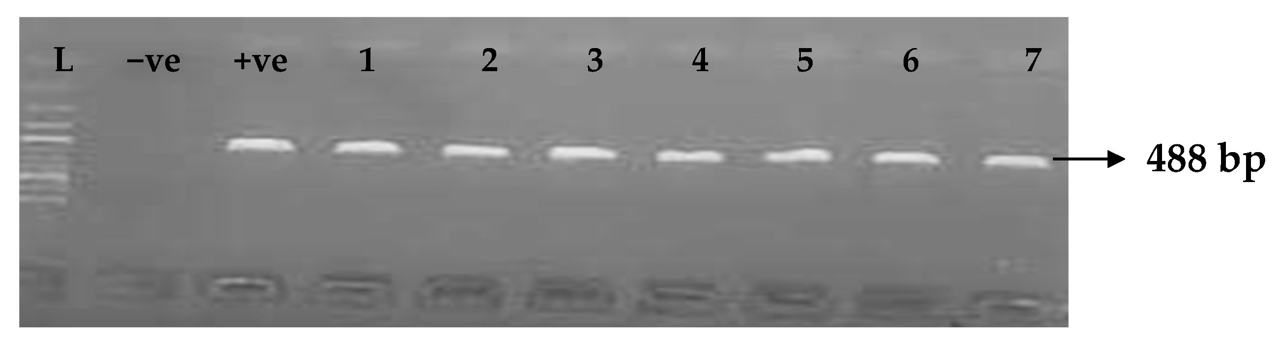 Idr 15 00034 g007 Idr 15 00034 g007