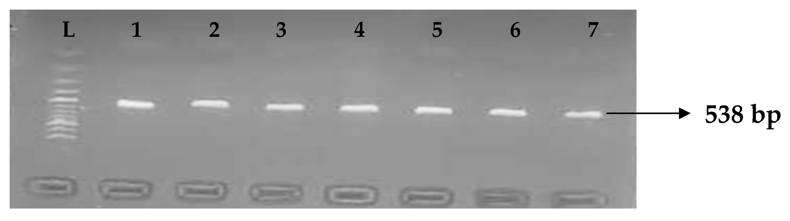 Idr 15 00034 g008 Idr 15 00034 g008