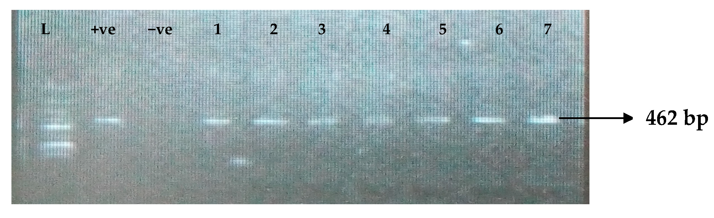 Idr 15 00034 g009 Idr 15 00034 g009