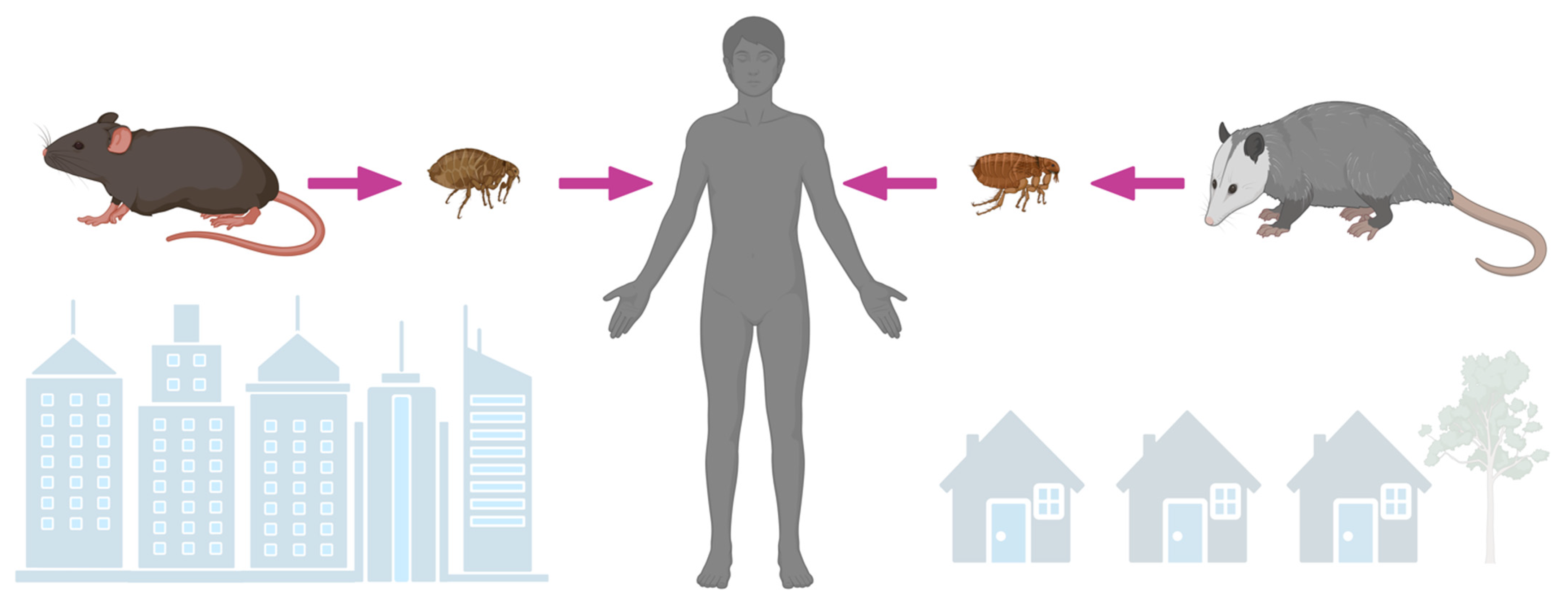 Idr 15 00063 g002 Idr 15 00063 g002