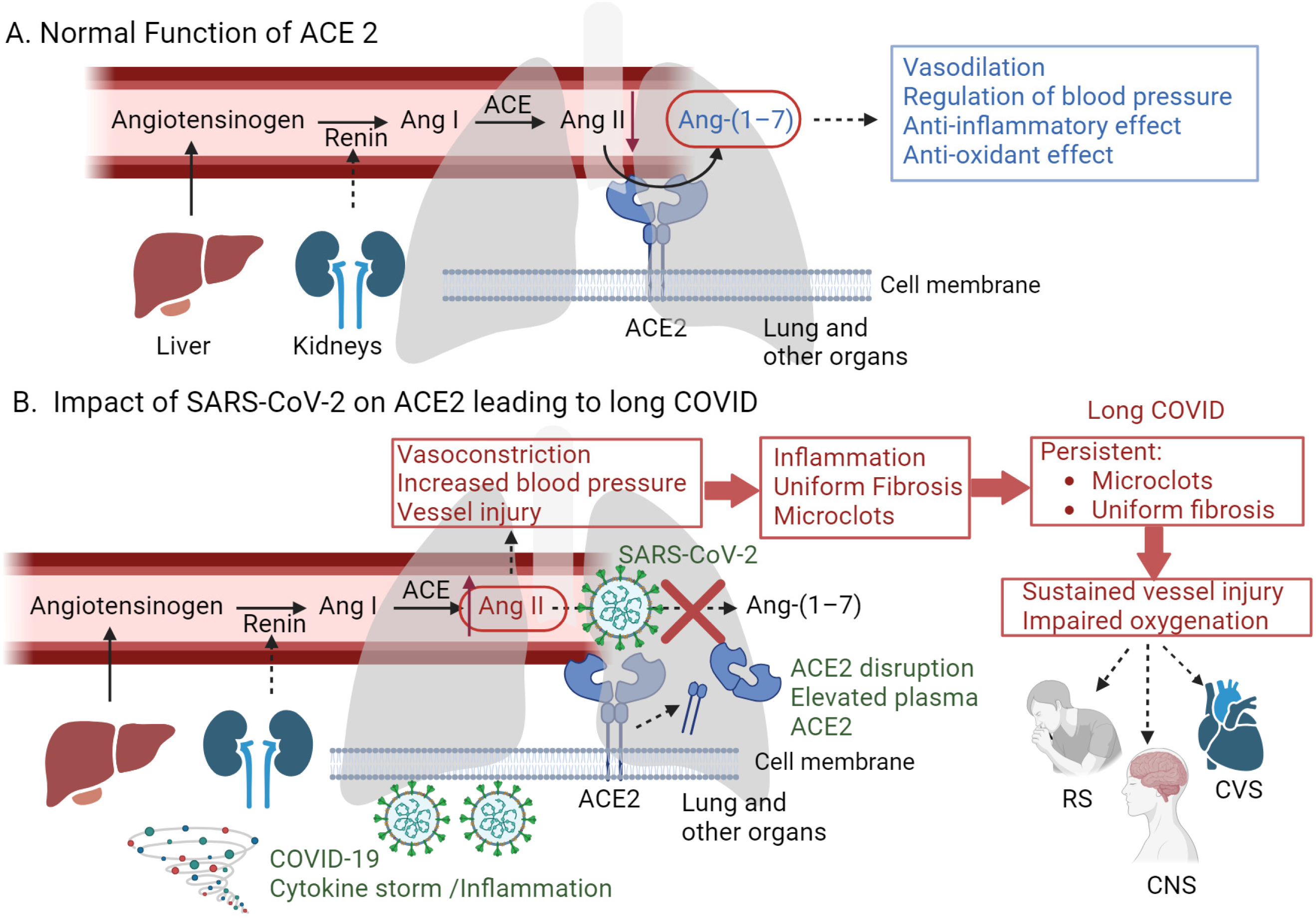 Idr 16 00042 g001 Idr 16 00042 g001