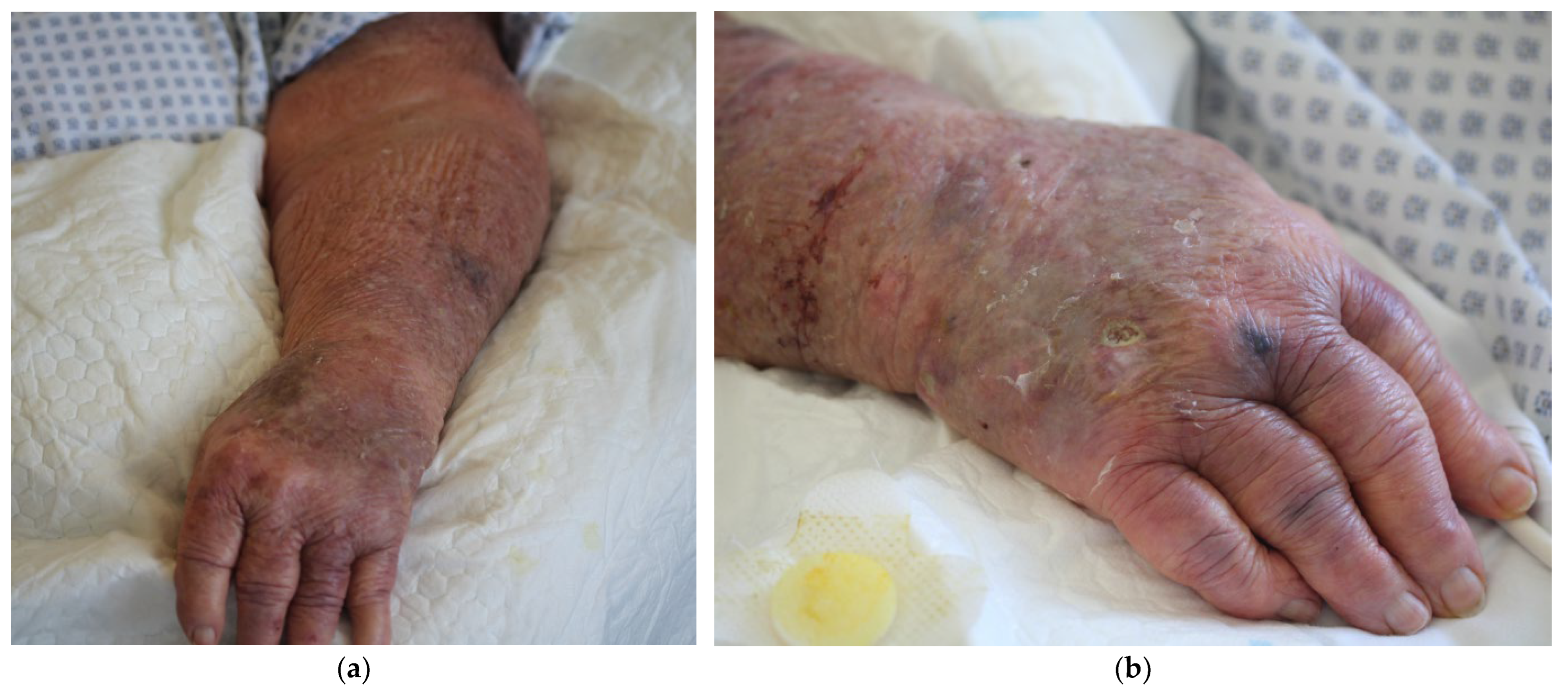 Idr 16 00053 g001 Idr 16 00053 g001