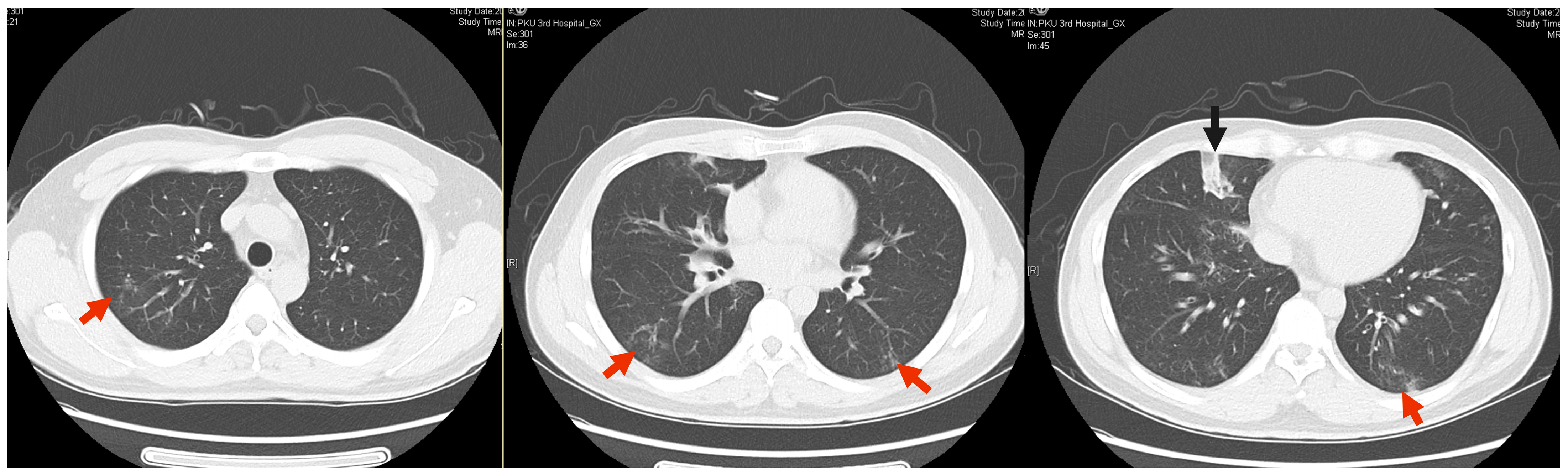 Idr 16 00072 g001 Idr 16 00072 g001