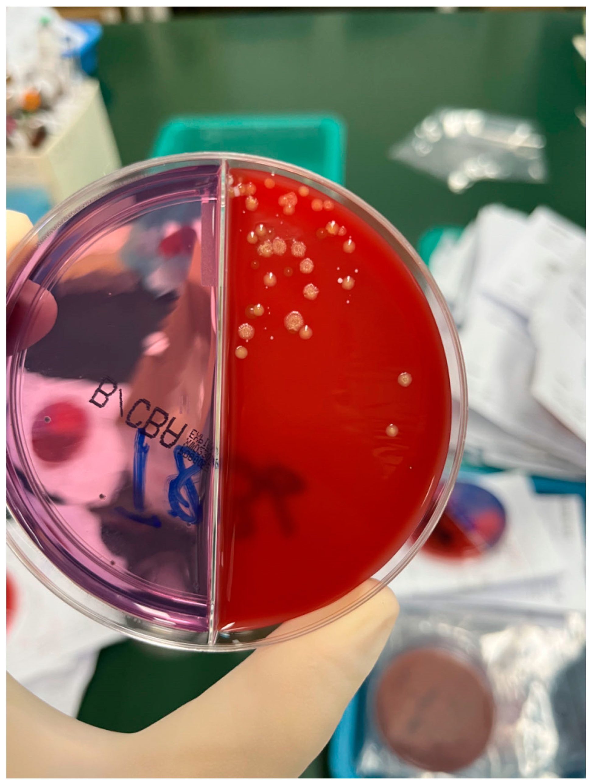 Idr 16 00072 g004 Idr 16 00072 g004