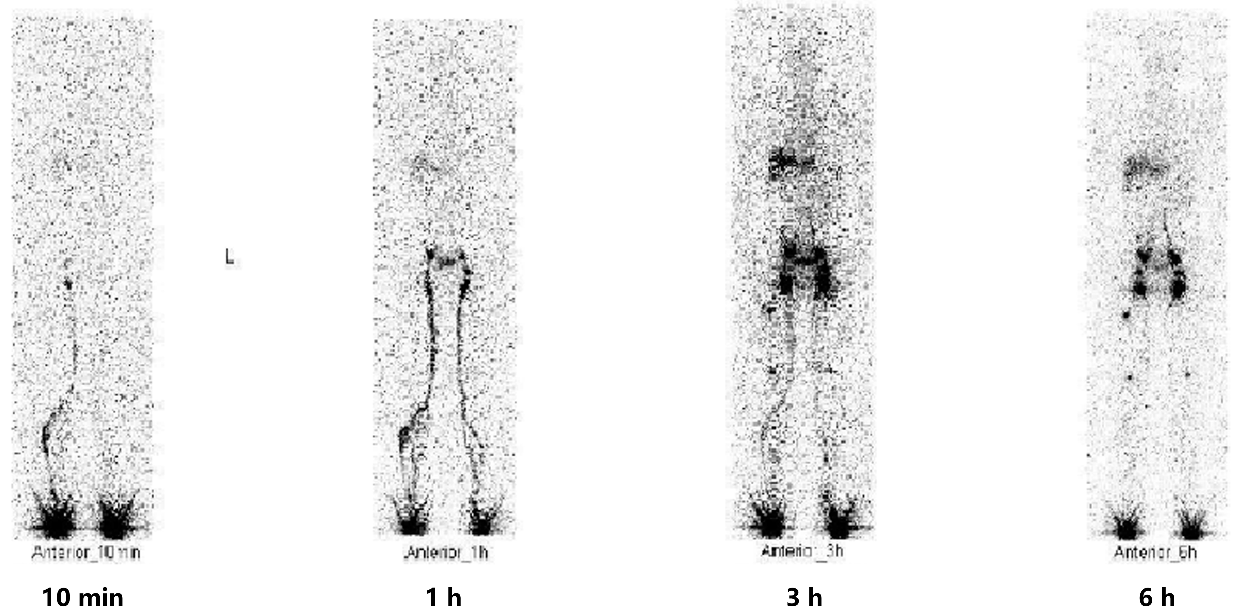 Idr 16 00072 g005 Idr 16 00072 g005