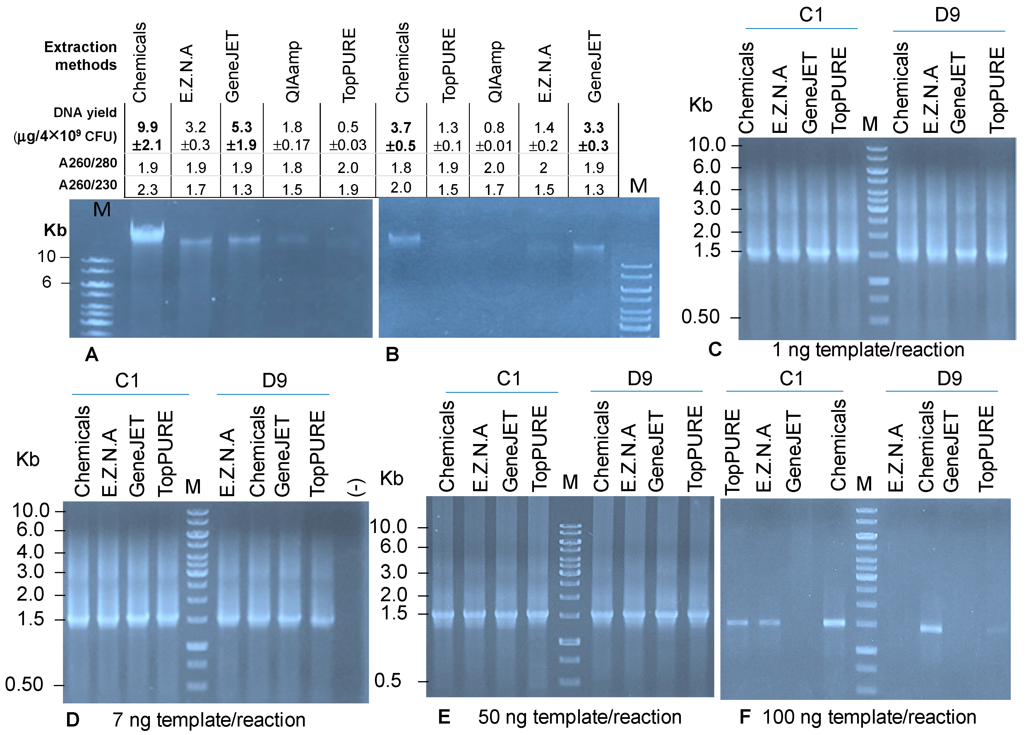 Idr 16 00075 g002 Idr 16 00075 g002