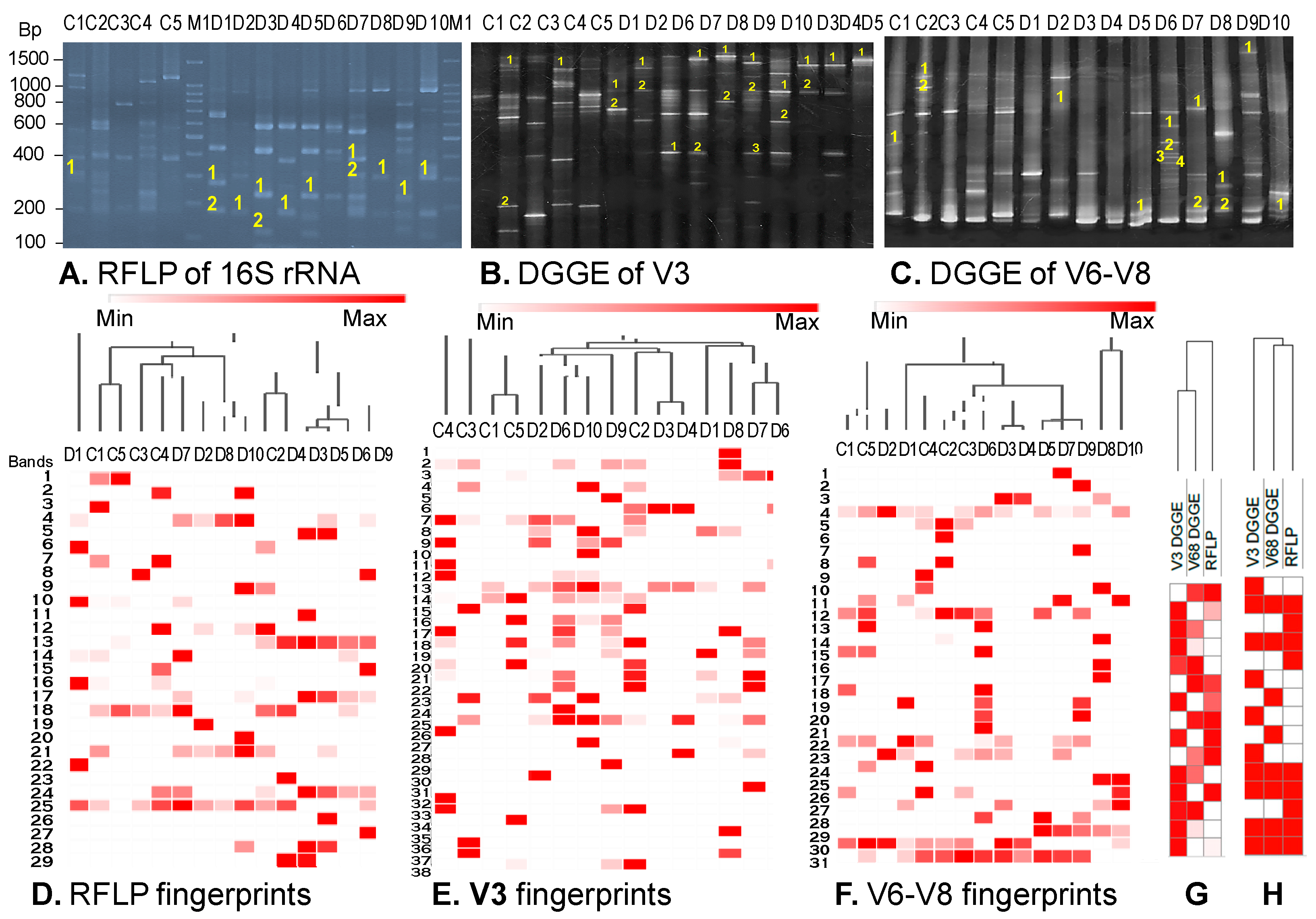 Idr 16 00075 g005 Idr 16 00075 g005