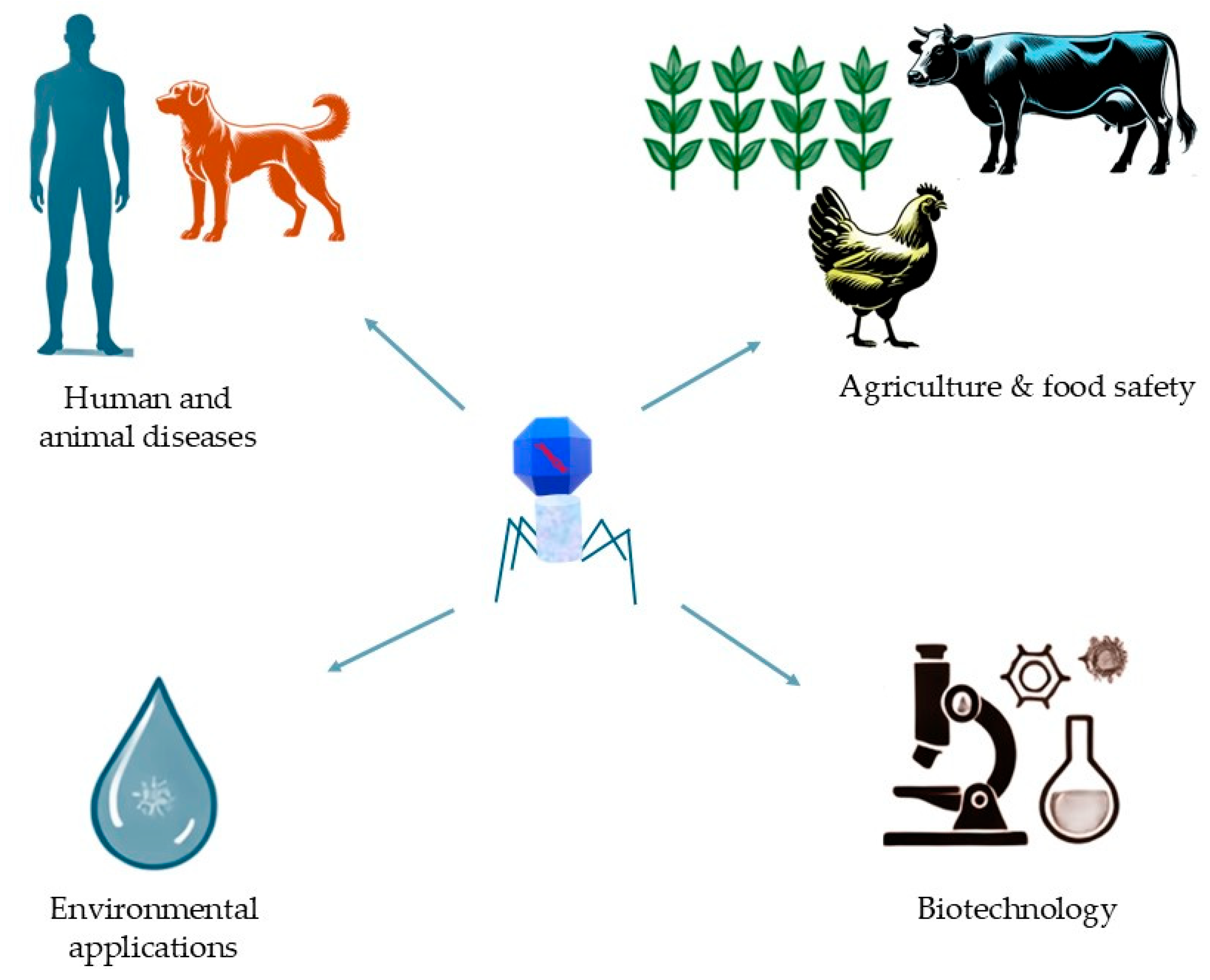 Idr 16 00092 g001 Idr 16 00092 g001