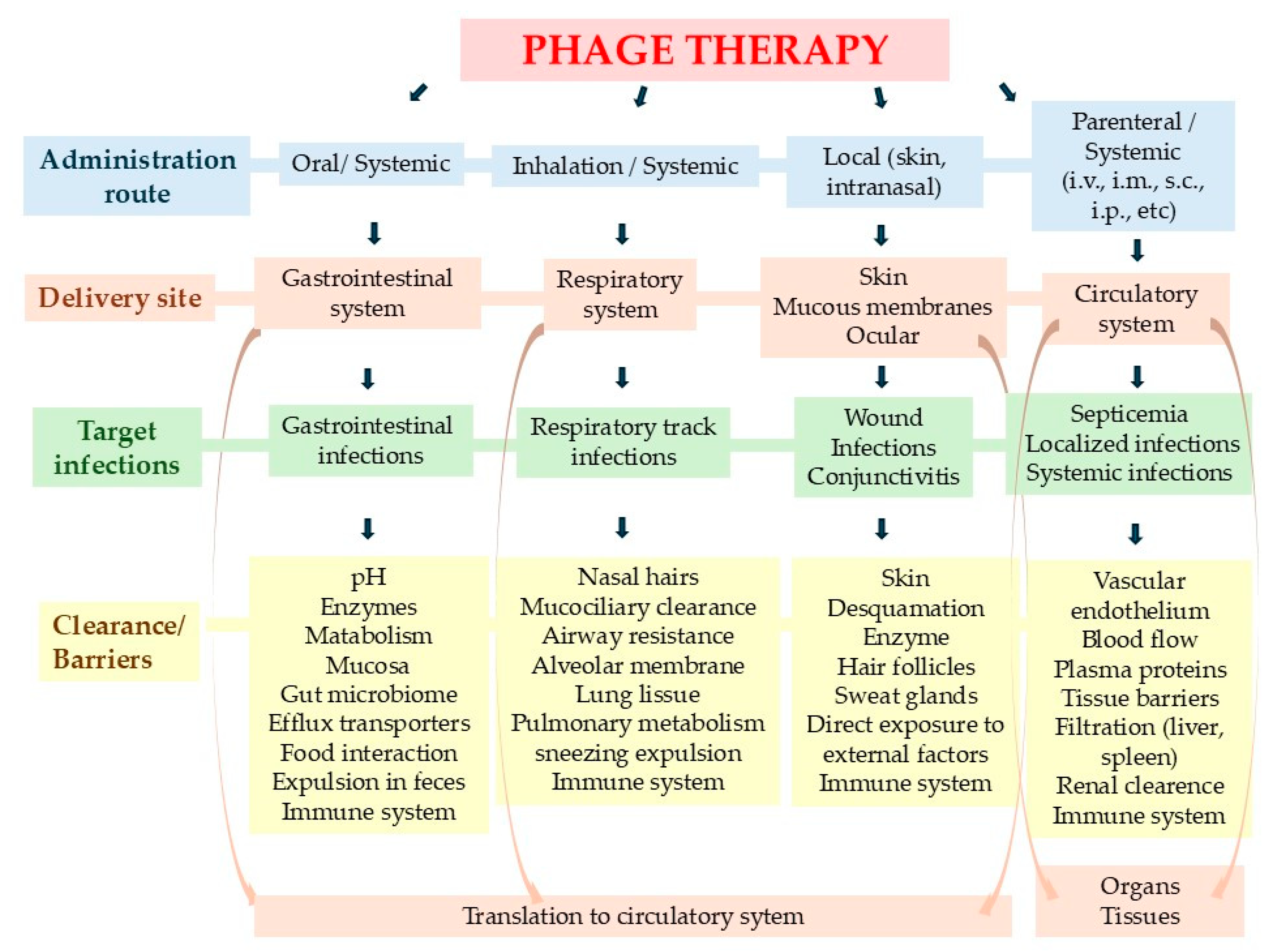 Idr 16 00092 g003 Idr 16 00092 g003