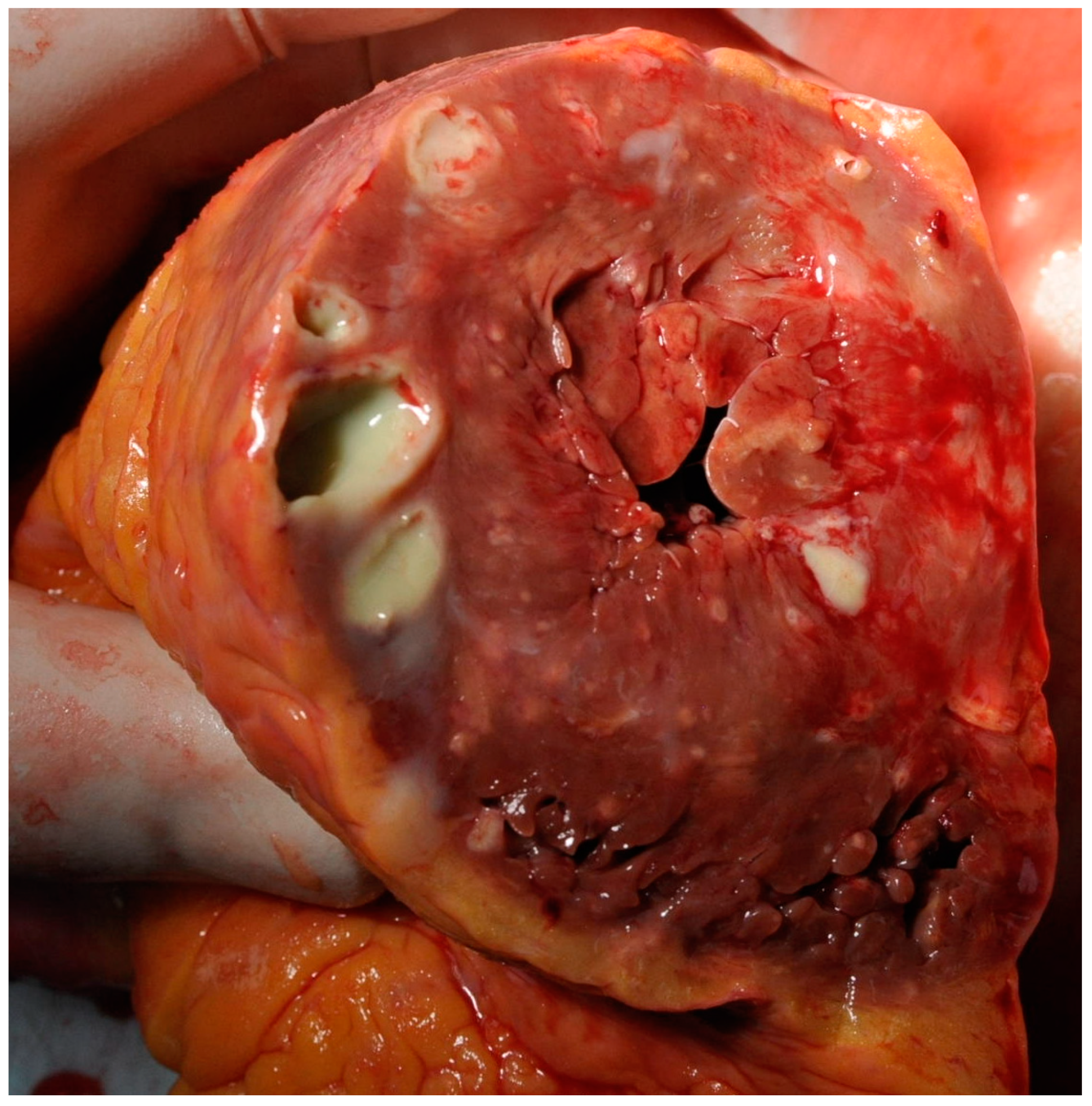 Idr 16 00093 g001 Idr 16 00093 g001