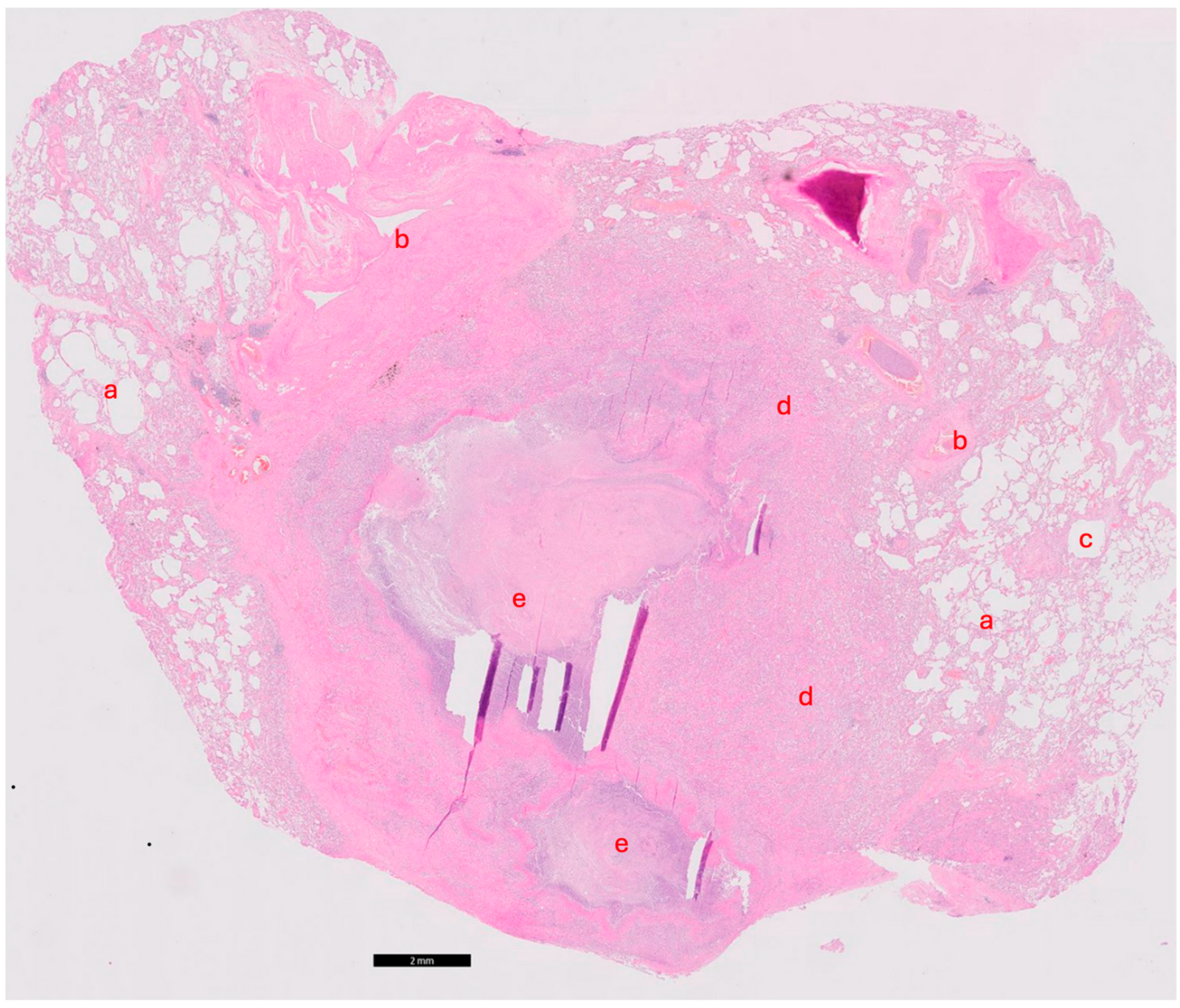 Idr 16 00093 g004 Idr 16 00093 g004