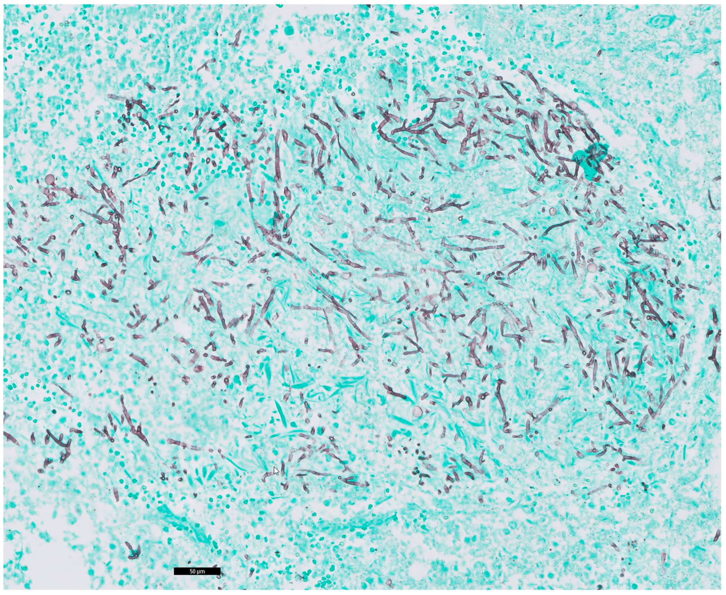 Idr 16 00093 g005 Idr 16 00093 g005