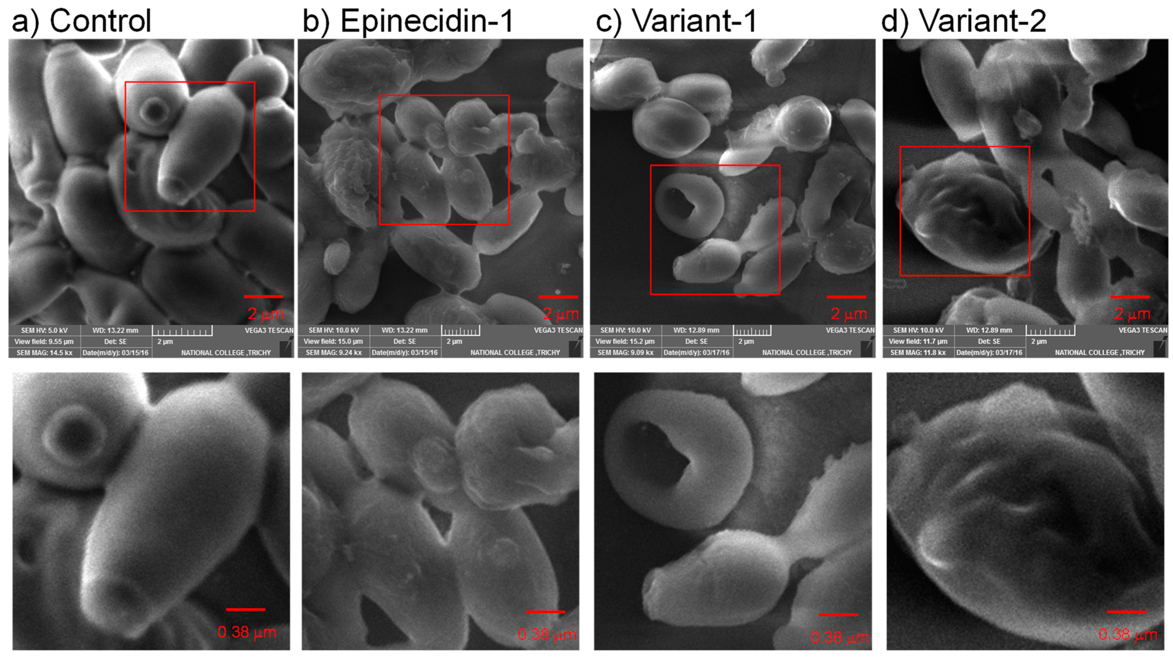 Idr 16 00096 g003 Idr 16 00096 g003