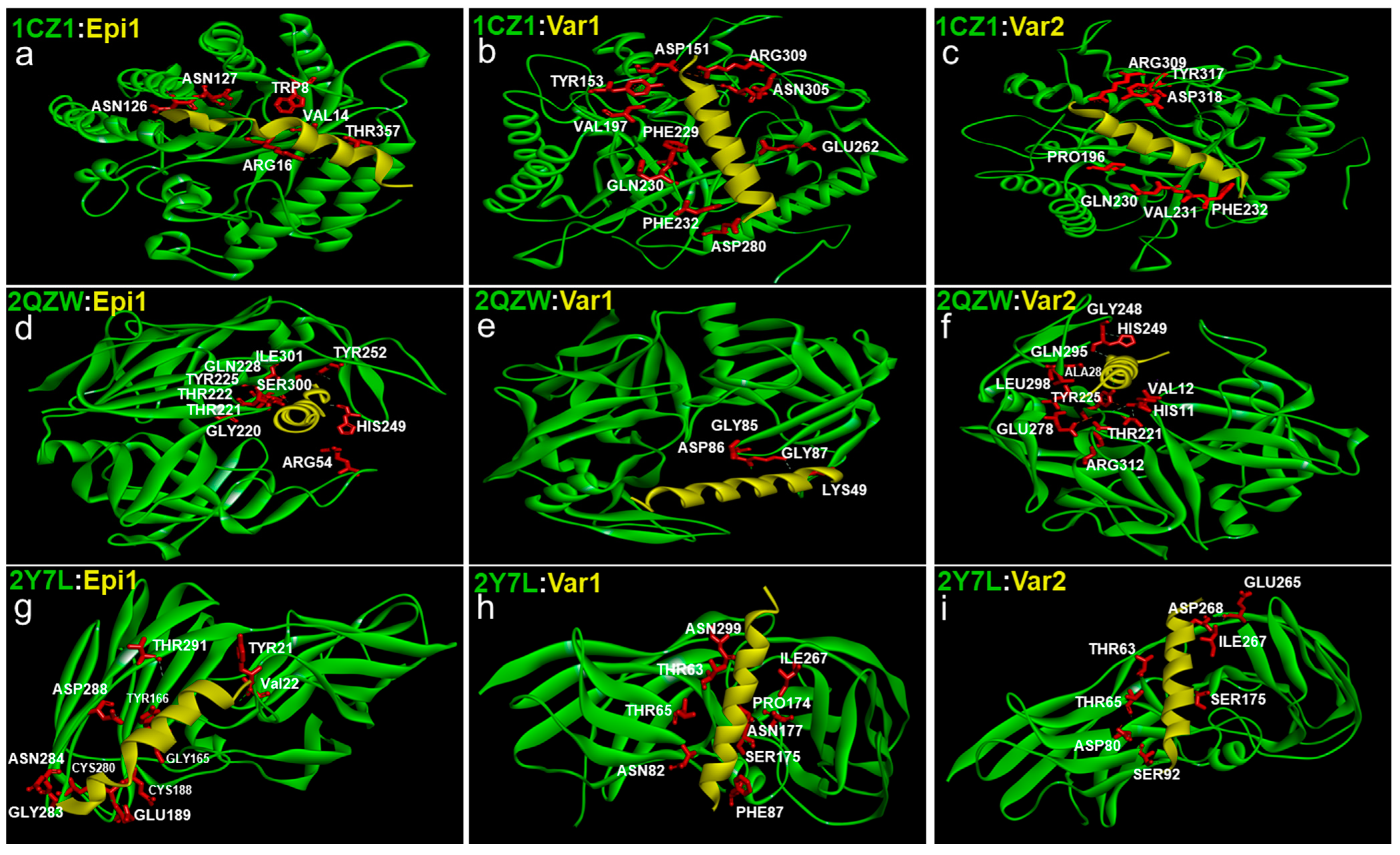 Idr 16 00096 g004 Idr 16 00096 g004