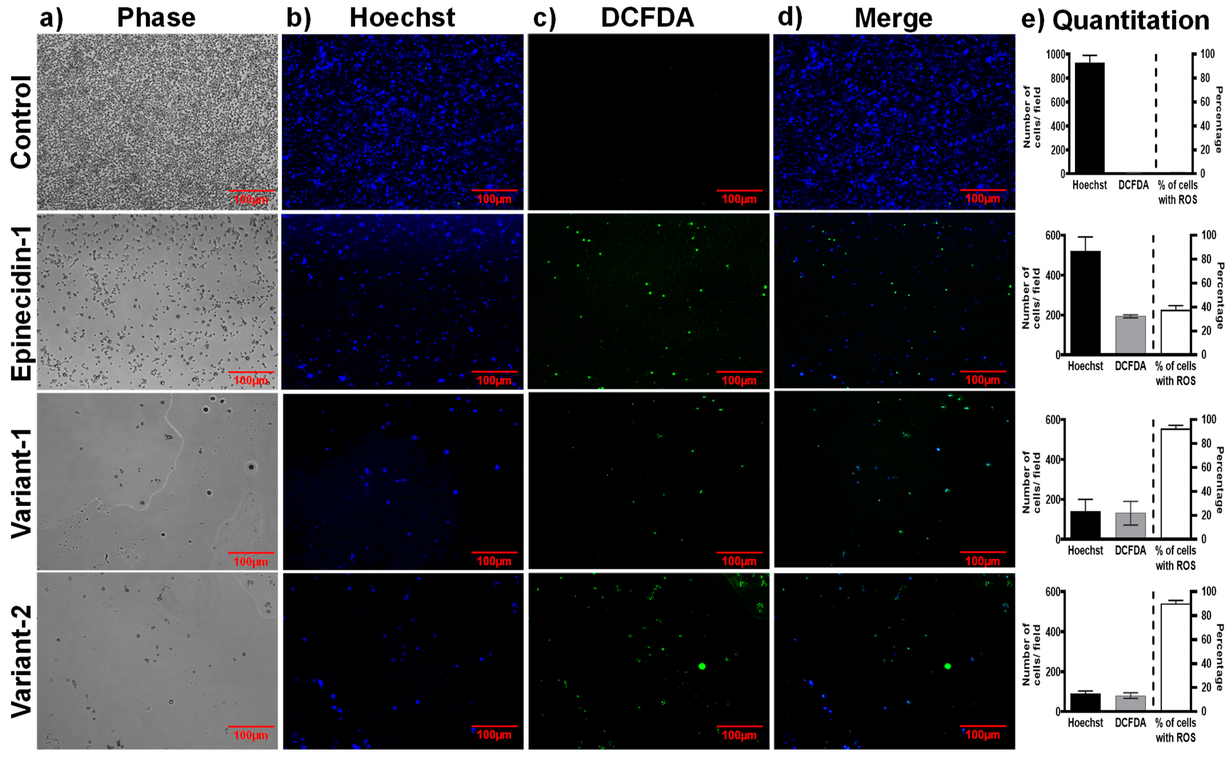Idr 16 00096 g005 Idr 16 00096 g005