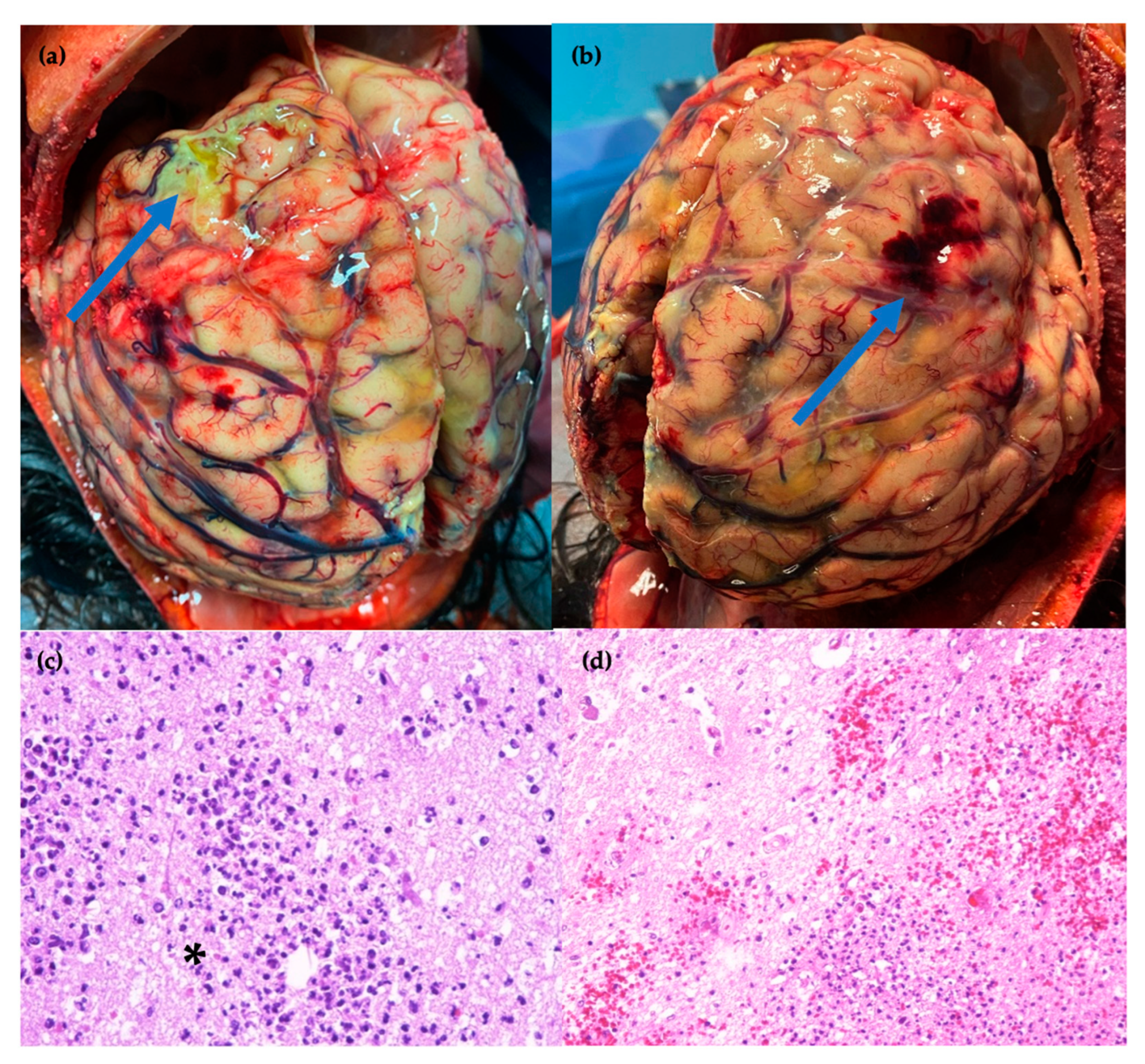 Idr 16 00100 g003 Idr 16 00100 g003