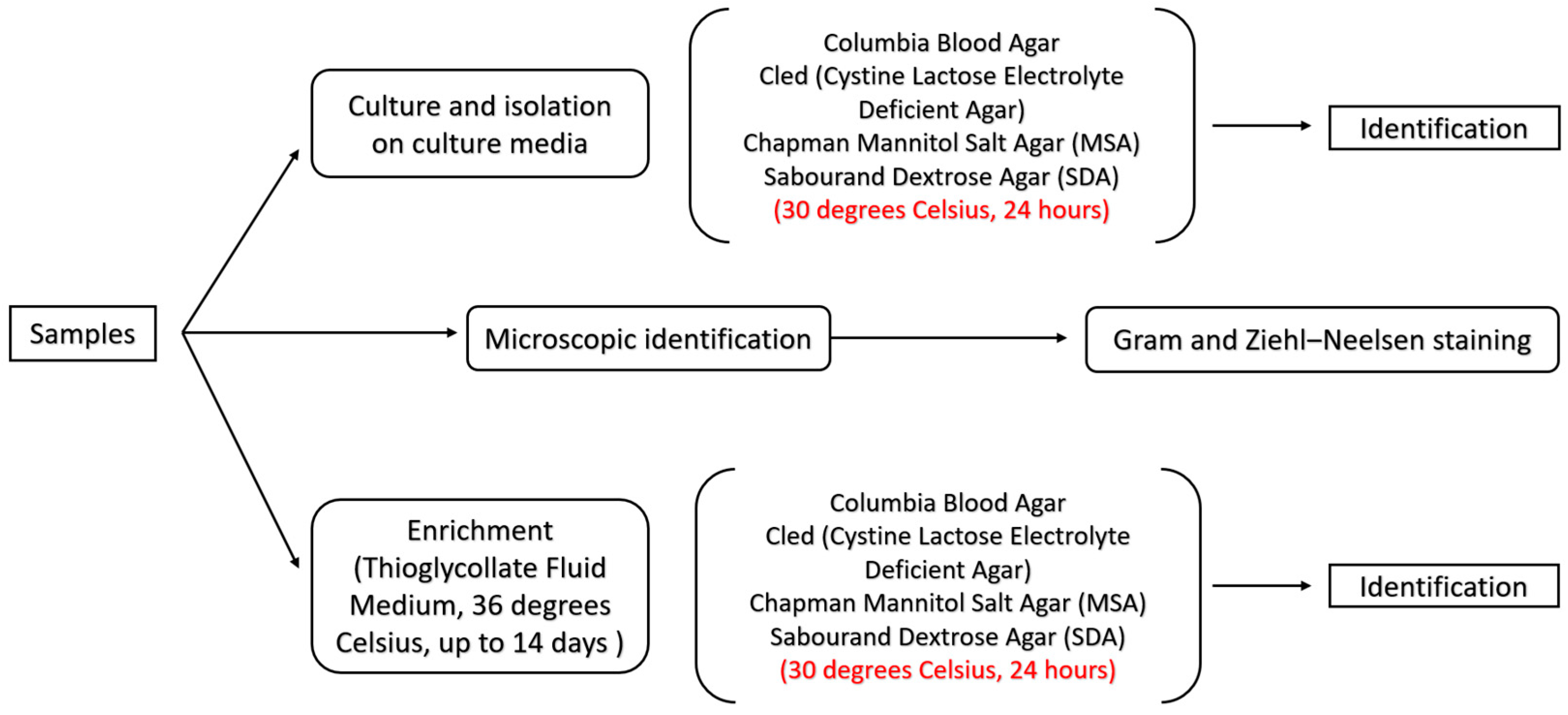 Idr 17 00006 g001 Idr 17 00006 g001
