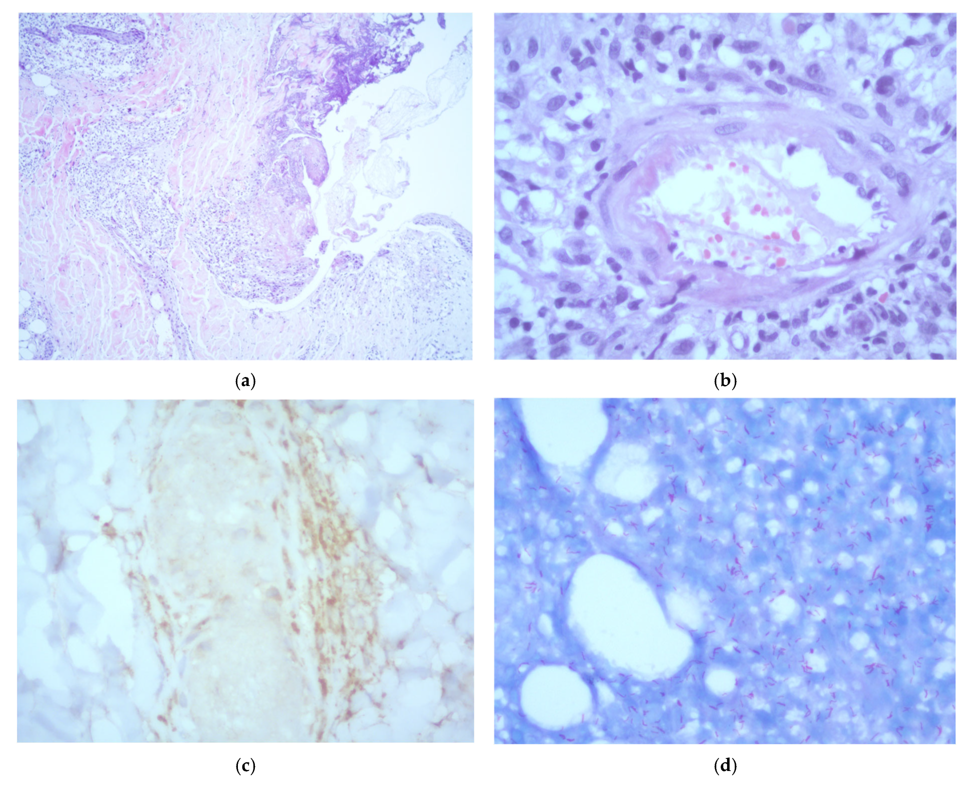 Idr 17 00058 g002 Idr 17 00058 g002