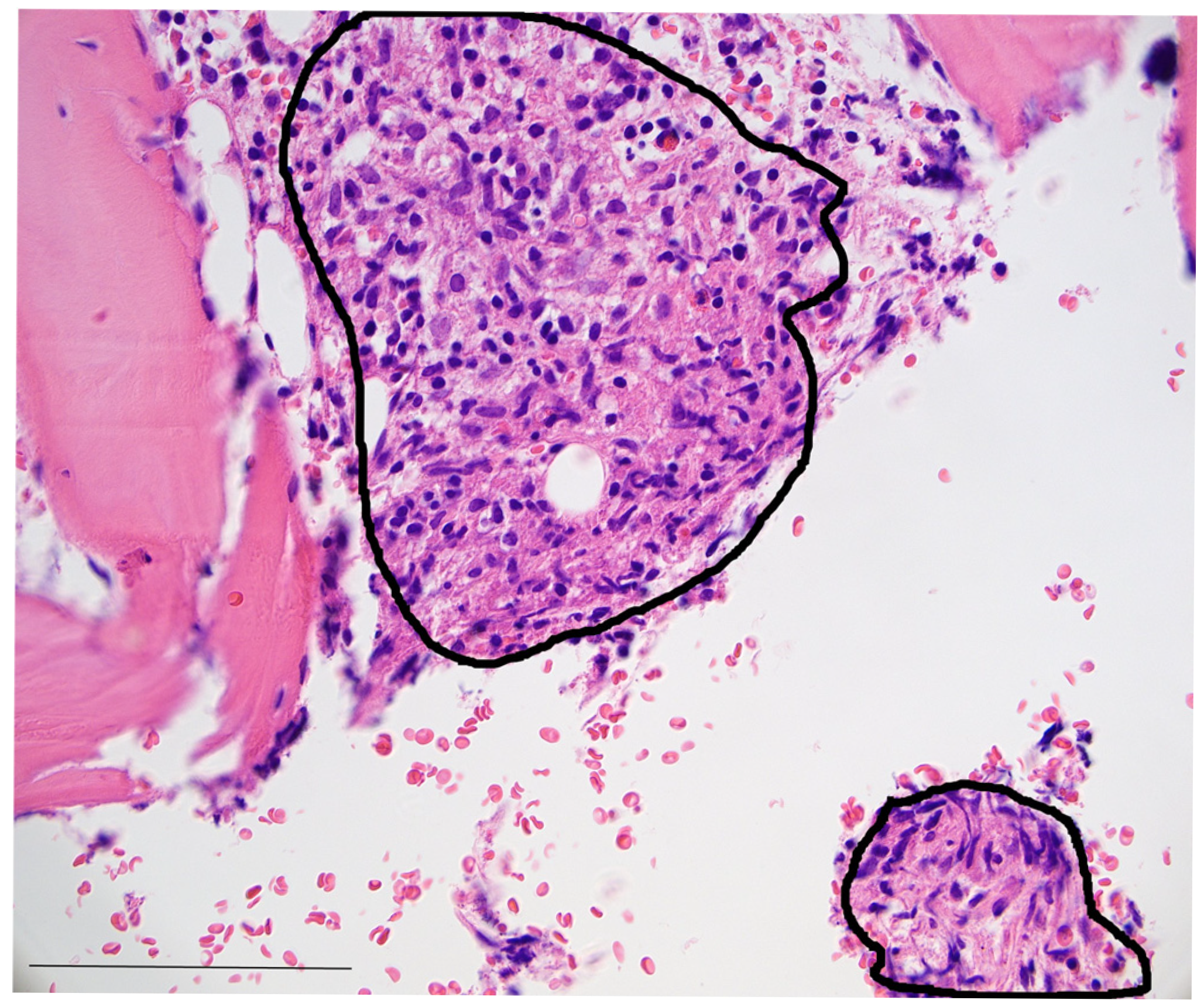 Idr 17 00060 g001 Idr 17 00060 g001