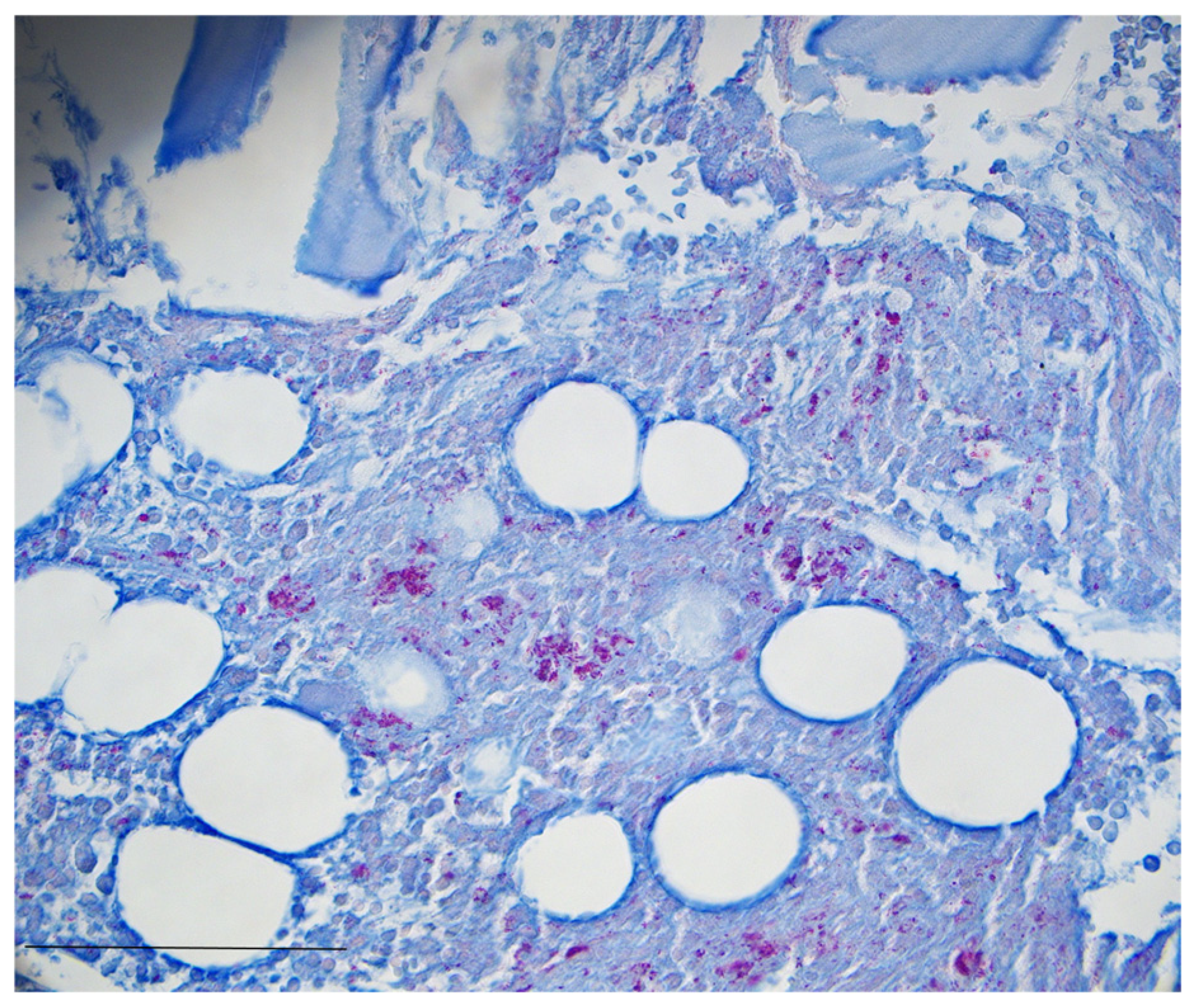 Idr 17 00060 g002 Idr 17 00060 g002