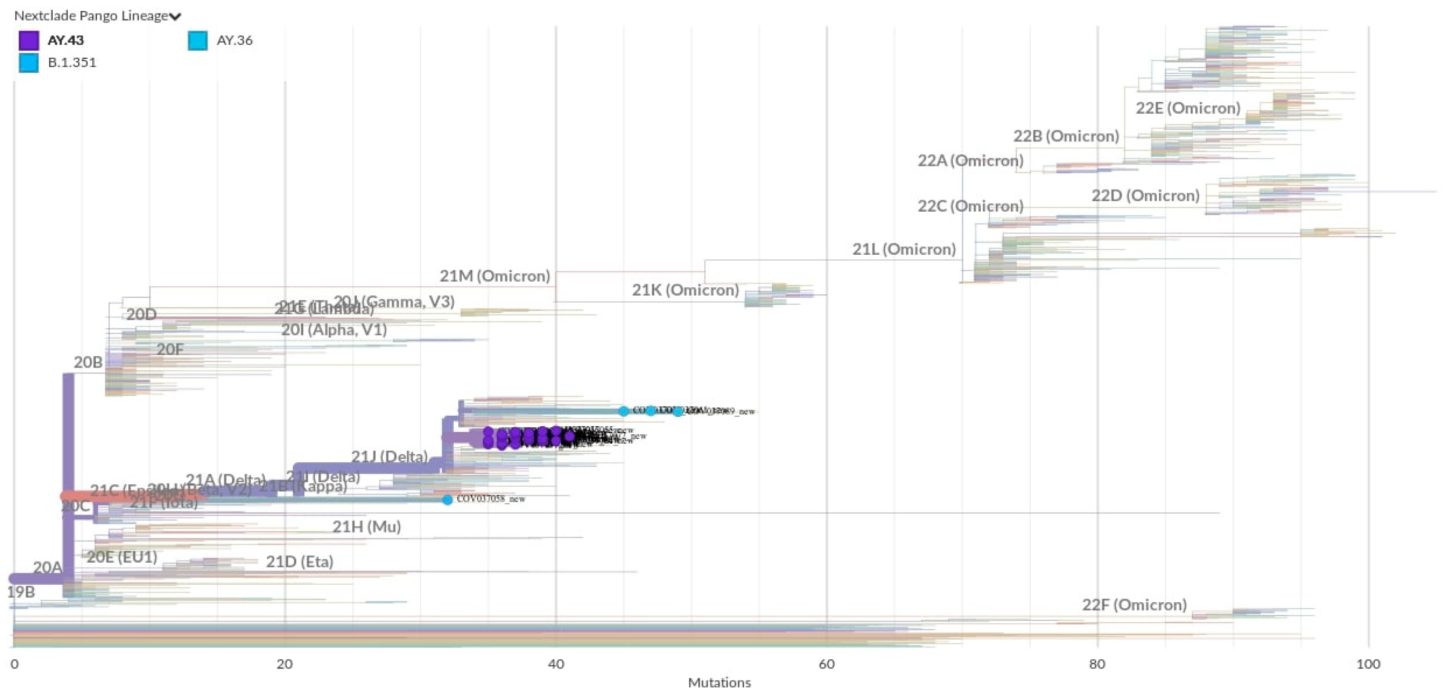 Idr 17 00111 g003 Idr 17 00111 g003