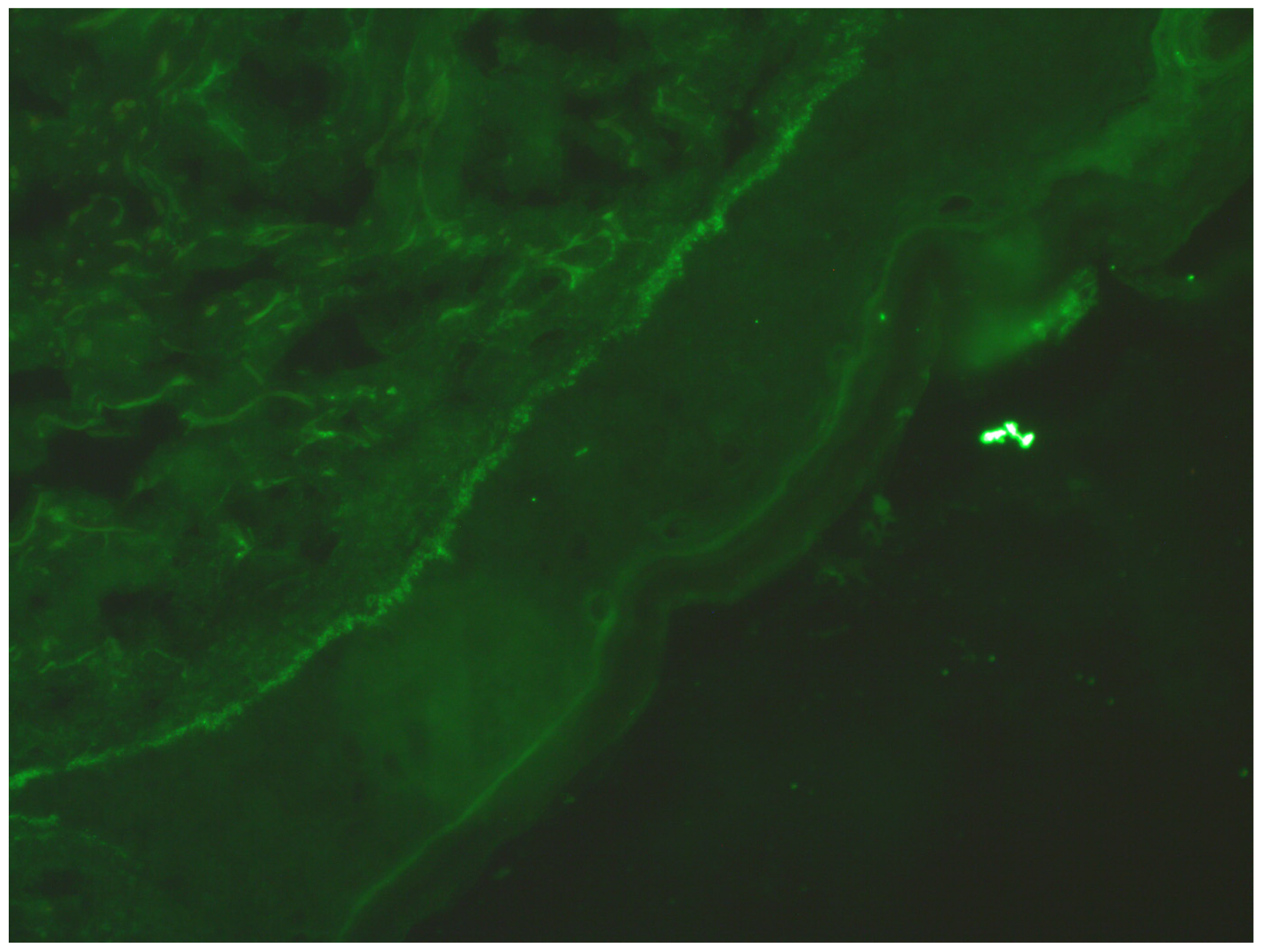 Idr 17 00143 g002 Idr 17 00143 g002